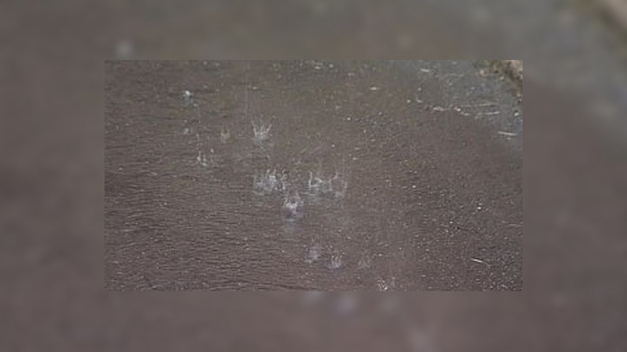 Польша вязнет в растопленном асфальте