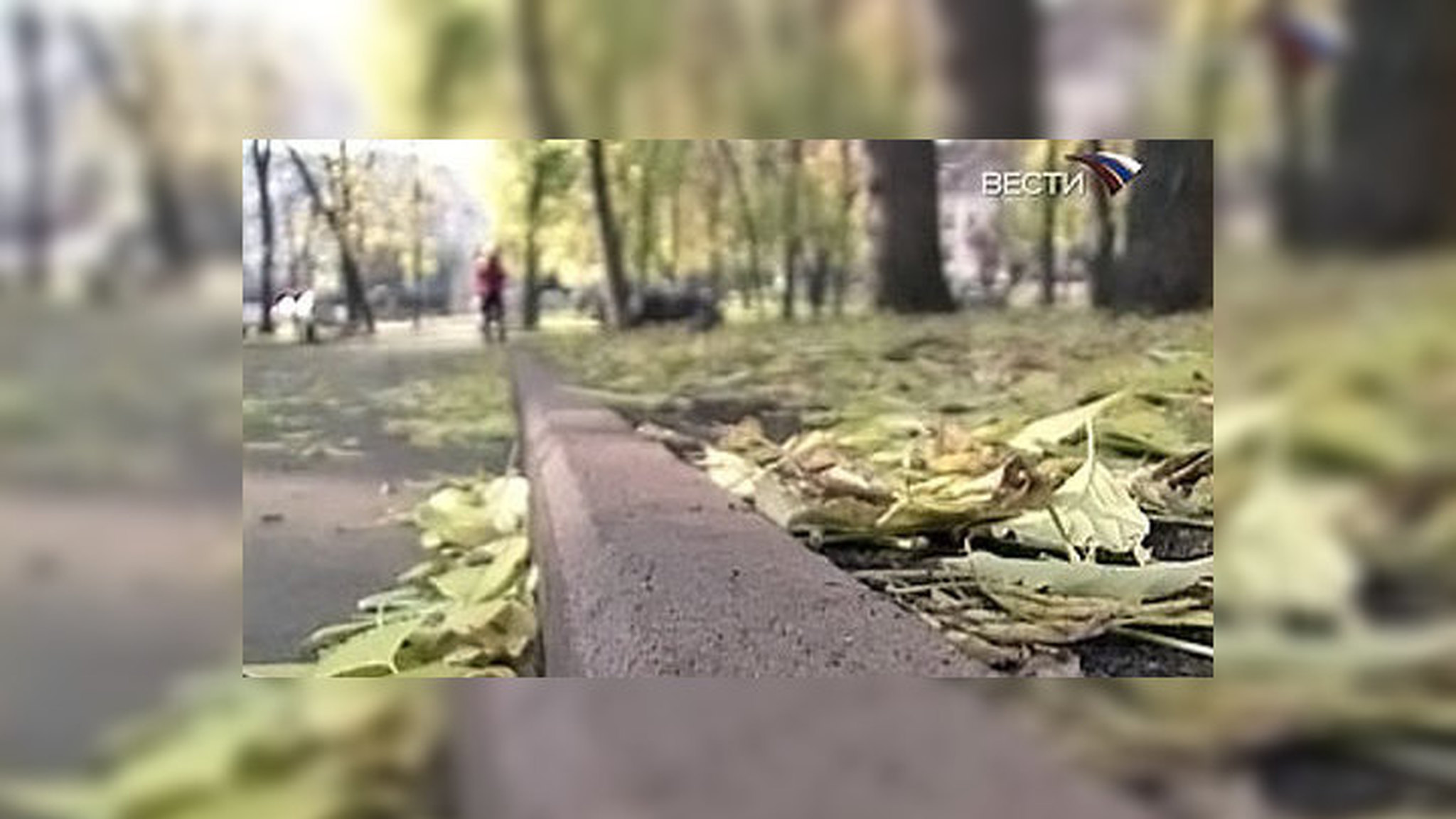 Петербургские депутаты отдали под застройку более ста скверов