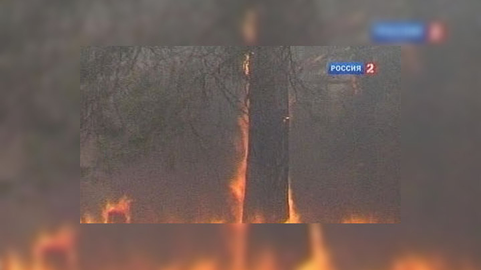 Жители Рязанской области недовольны действиями пожарных