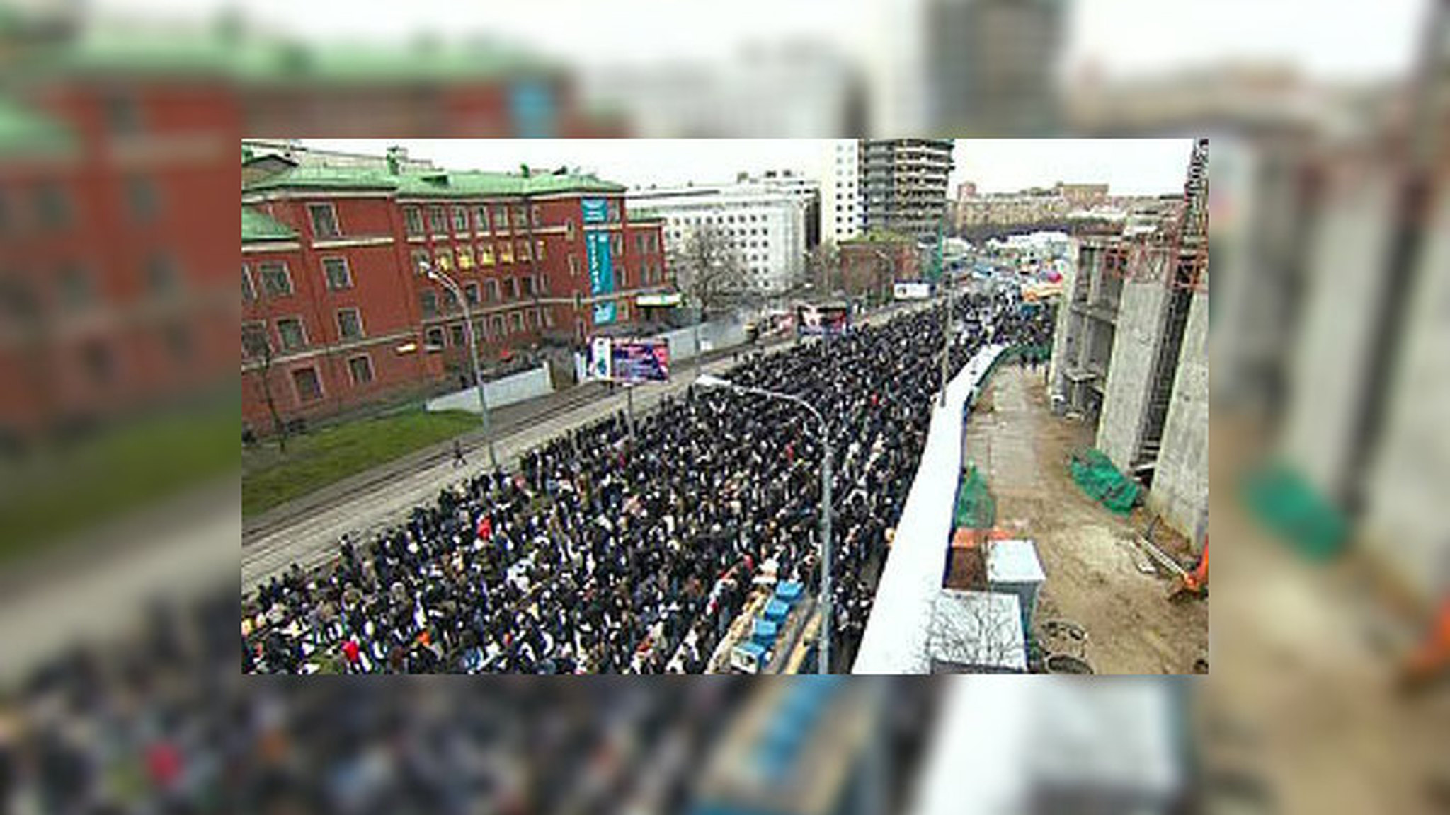В петербургских дворах можно продолжать резать баранов