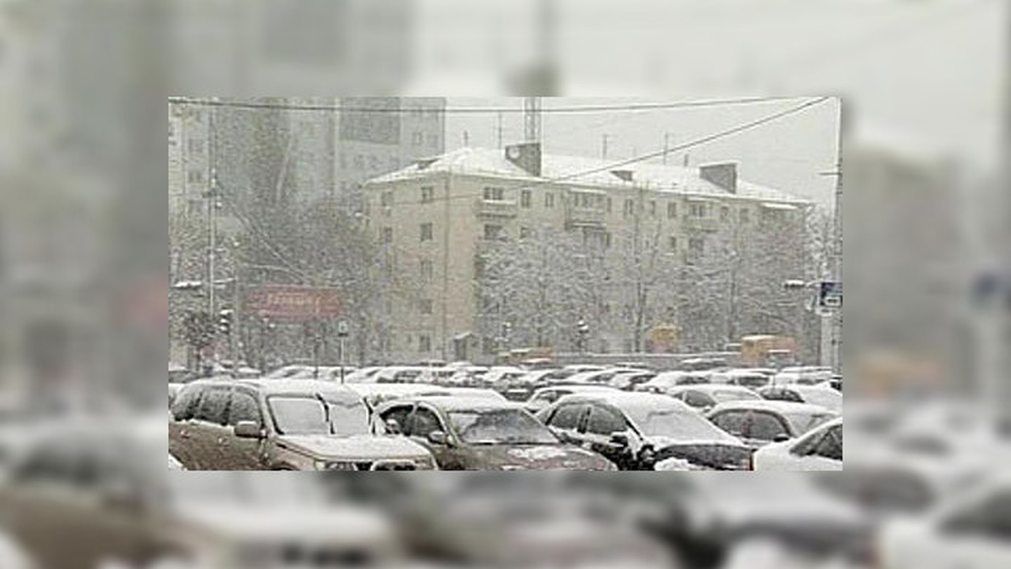 С морозами у автомобилистов возникли проблемы с "незамерзайкой"