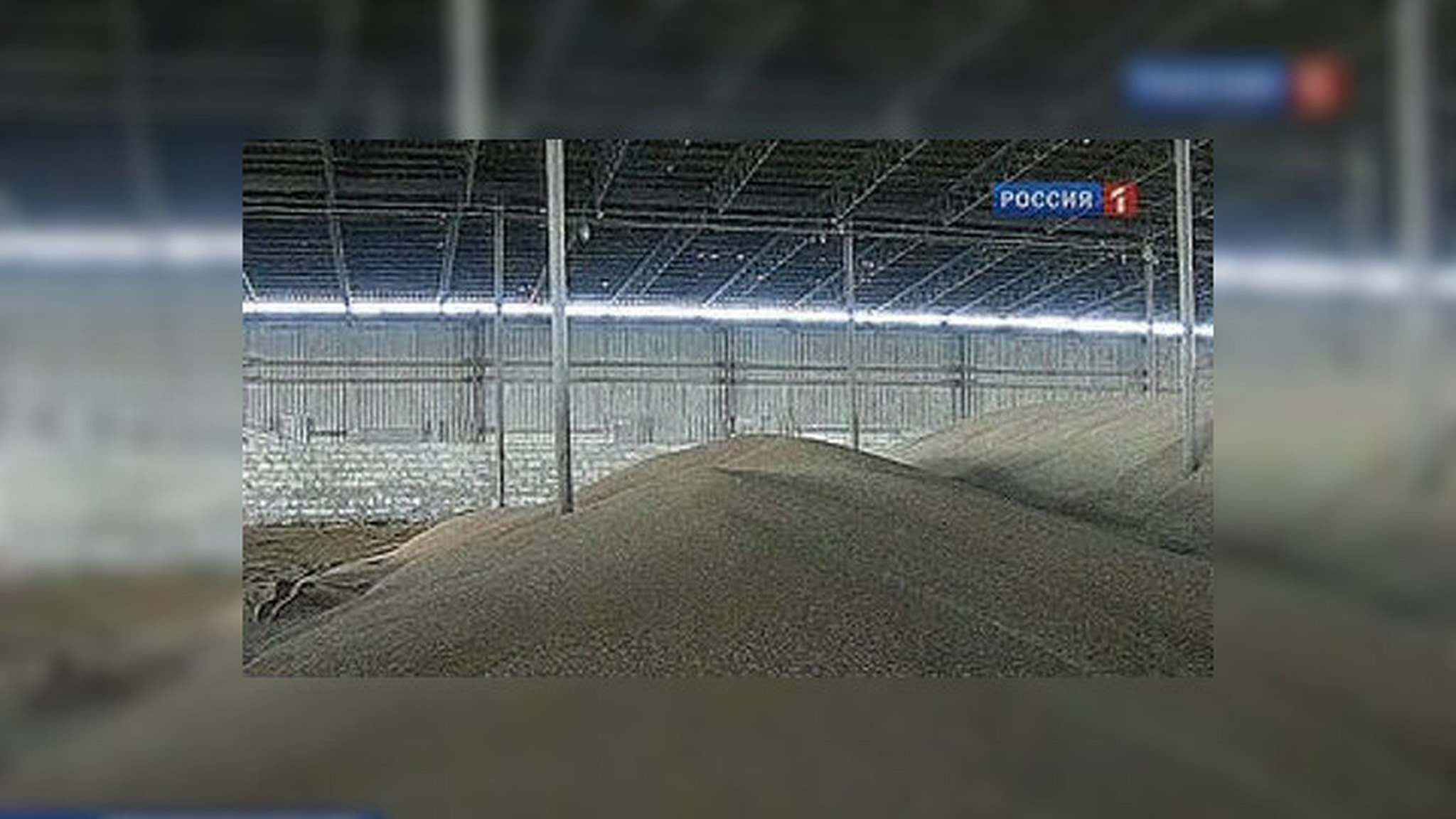Глобальное потепление скорректировало прогнозы уборки зерна в России