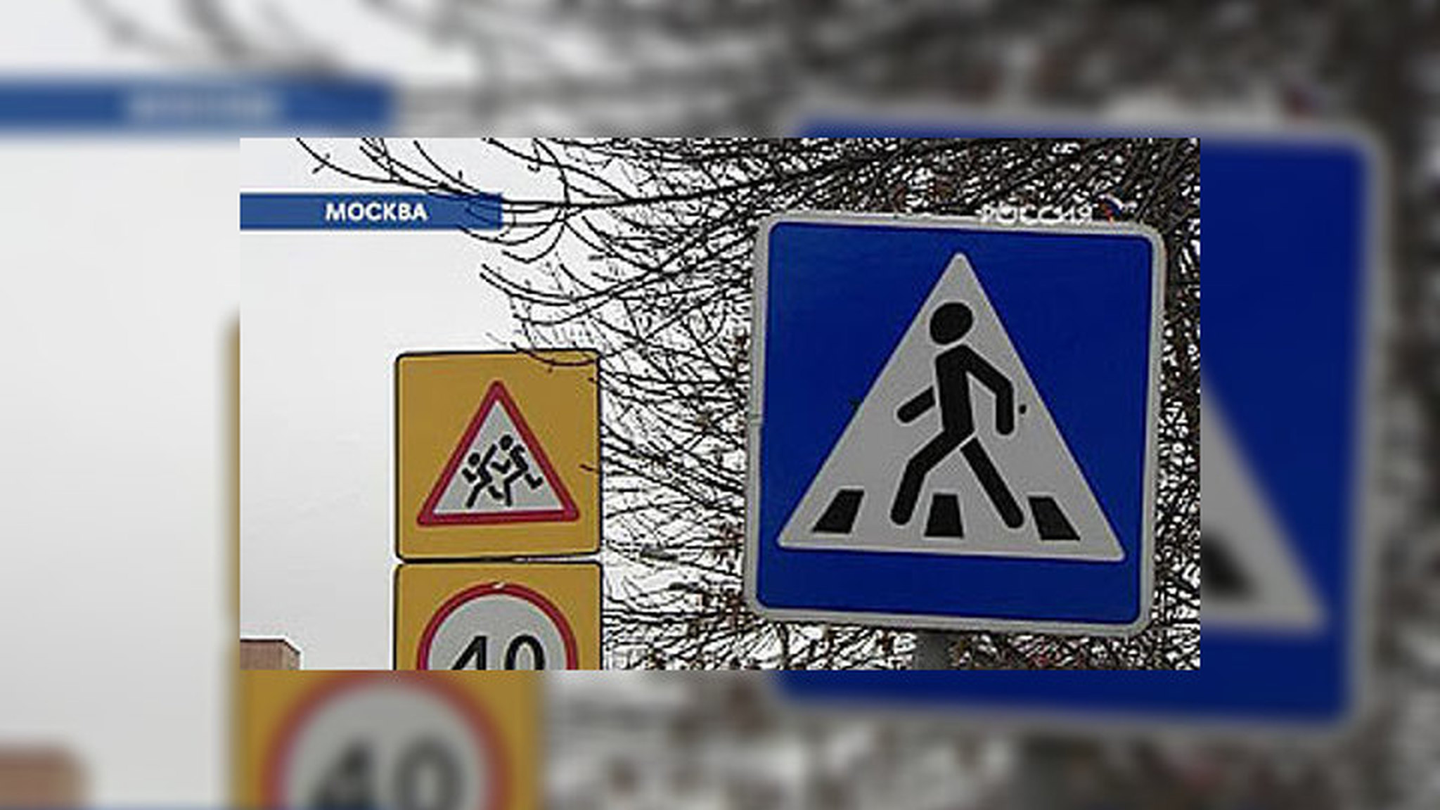 Автоинспекторы и страховщики начали борьбу за жизнь пешеходов