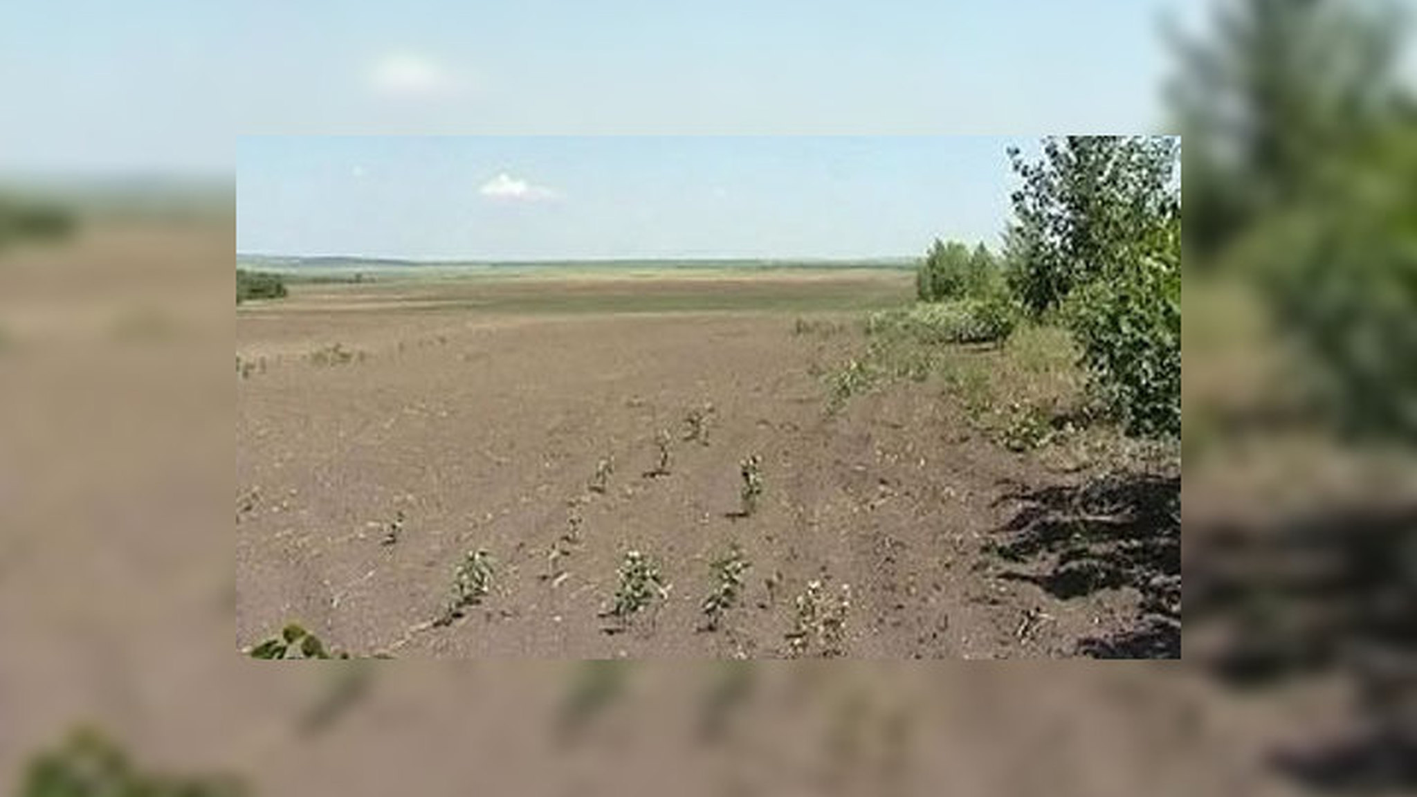 Столичные власти взялись за почву