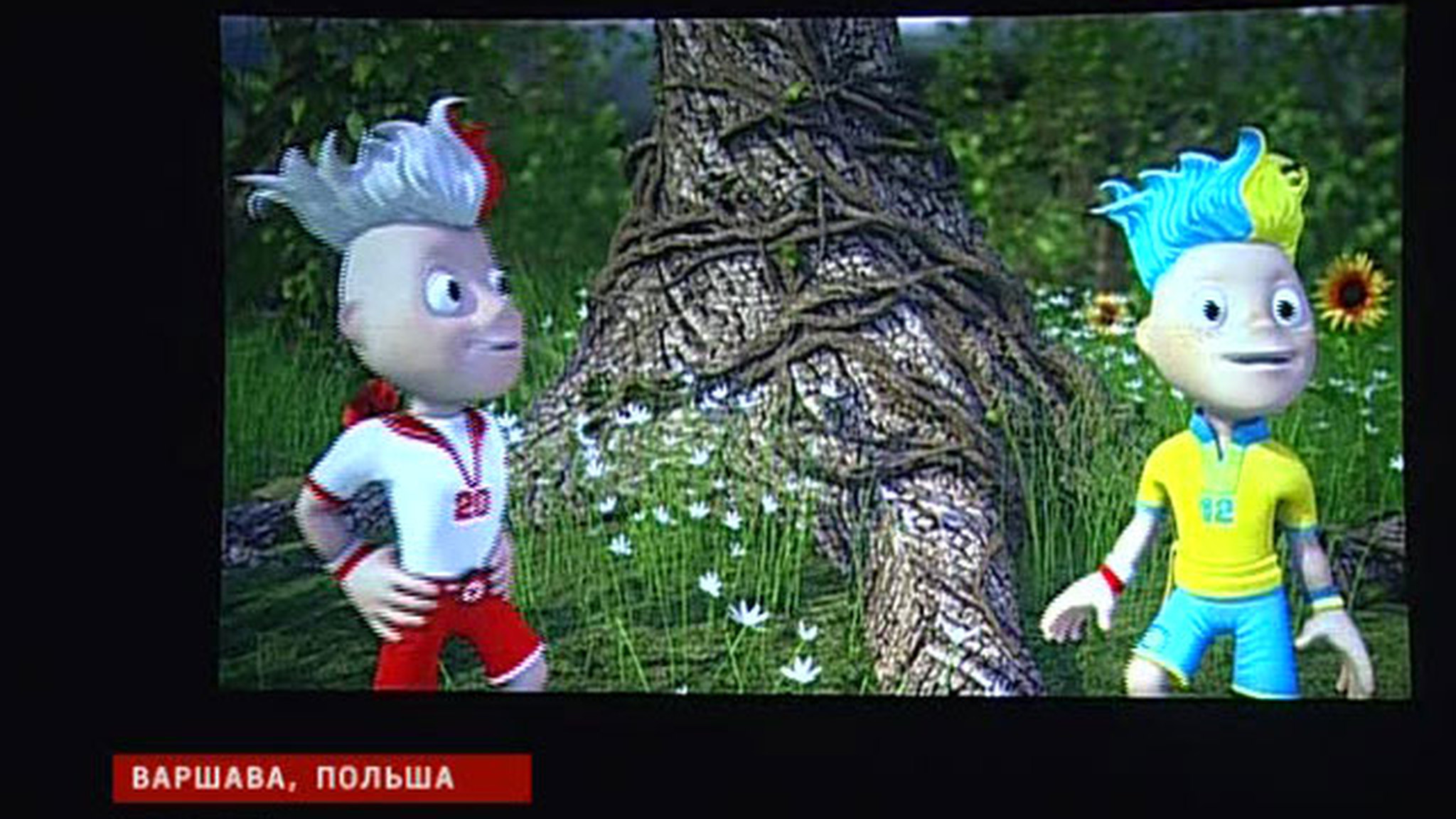 Талисманы Евро-2012 получат имена от болельщиков