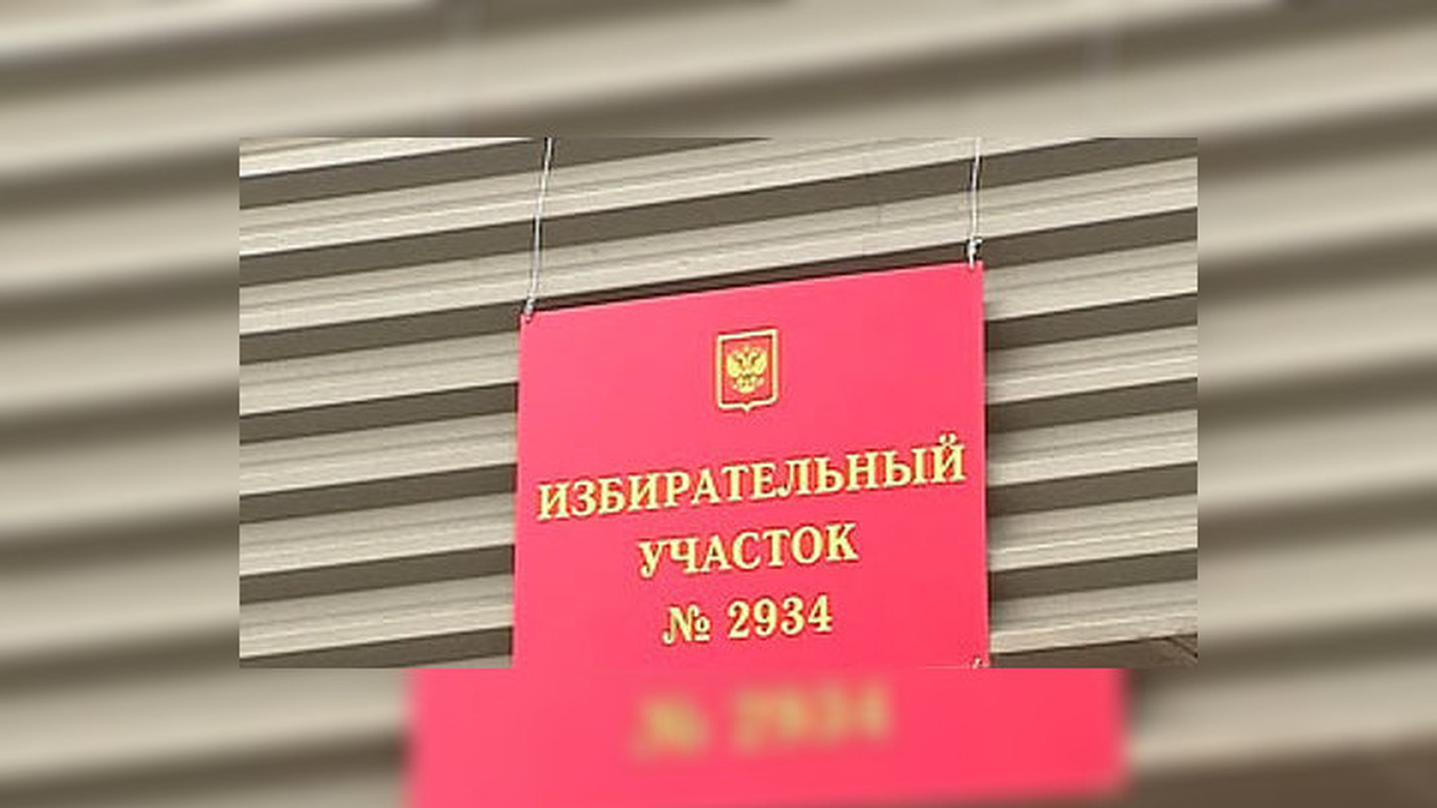 Выборы в Мосгордуму проверит прокуратура