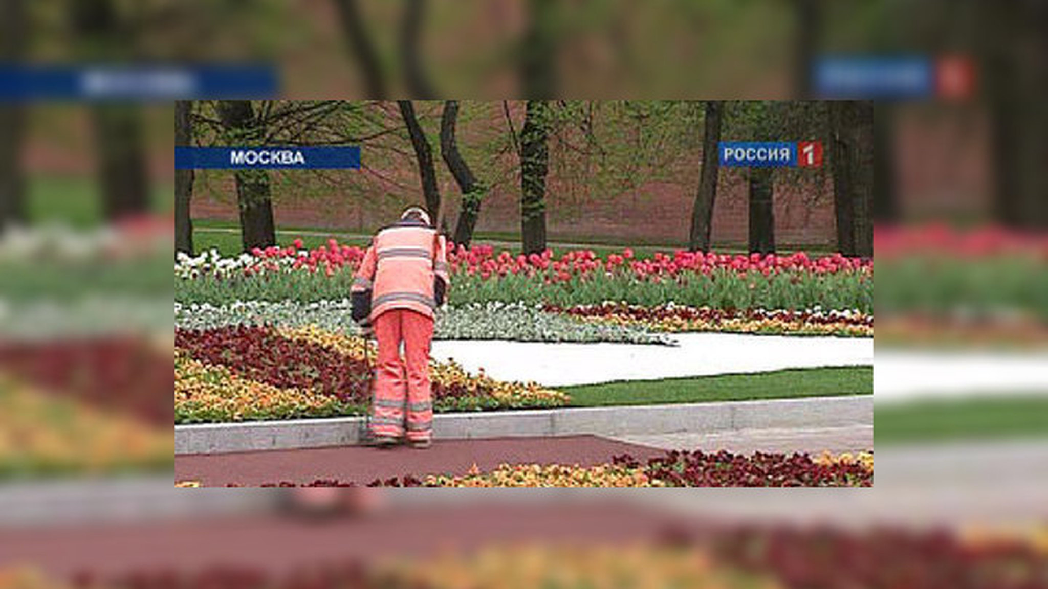 Чиновники учатся жить лучше