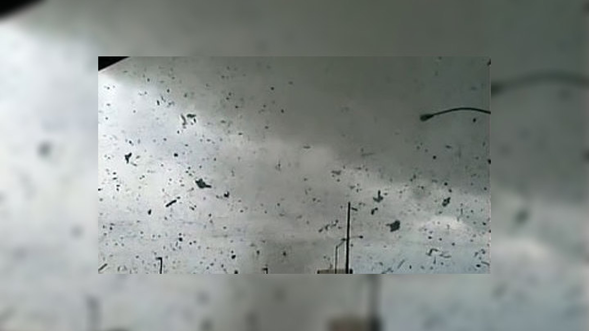 Россиян ждут новые погодные аномалии