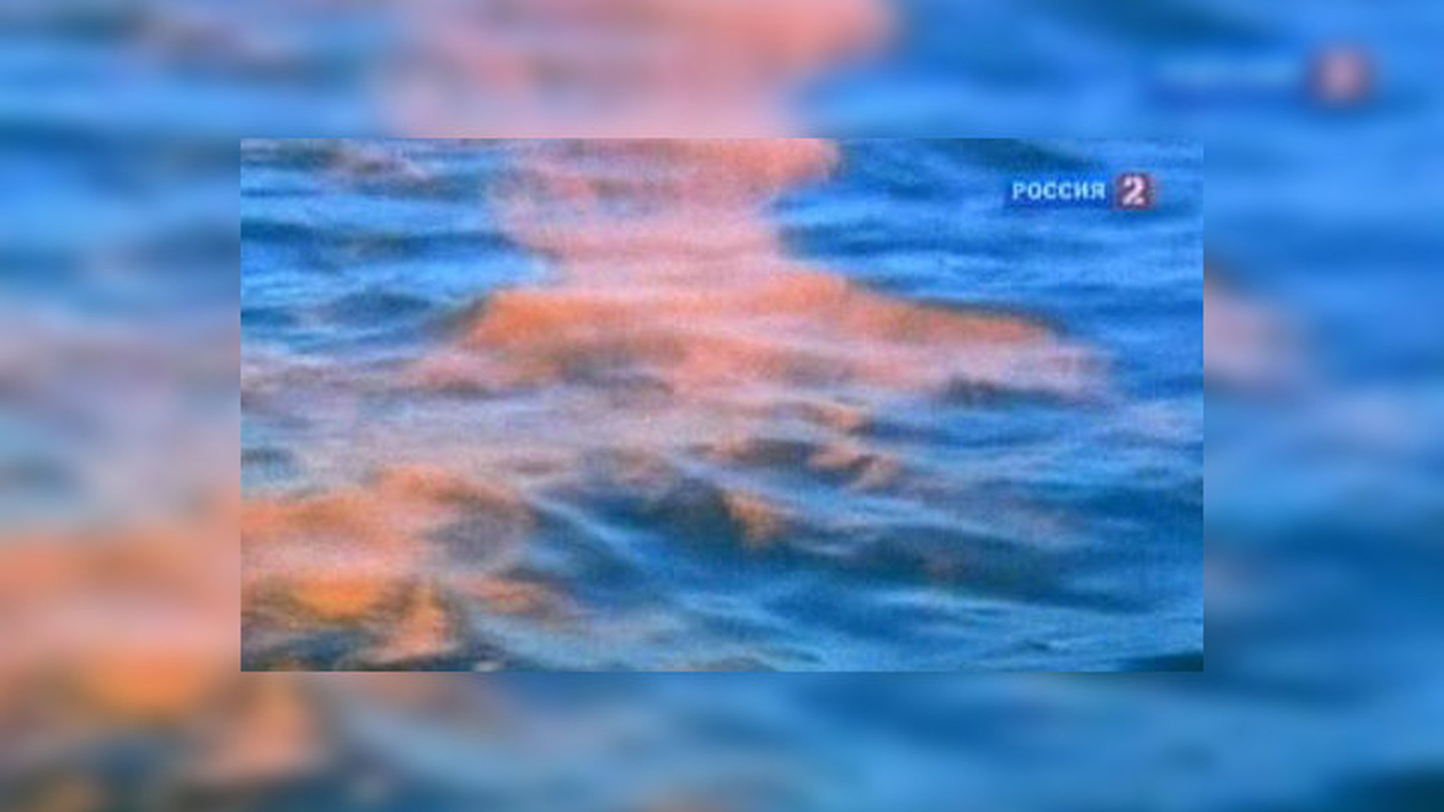 Берега Невы сочатся нефтью