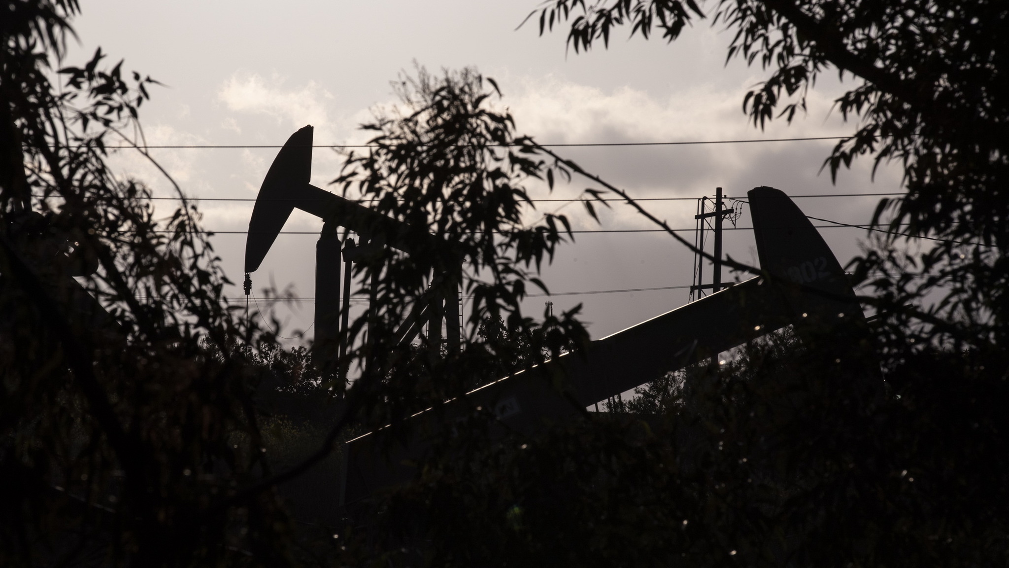 Мировые цены на нефть продолжают расти