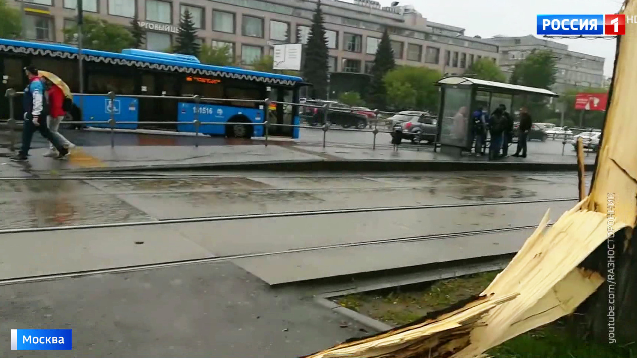 Сильный ветер повалил в Москве больше 30 деревьев
