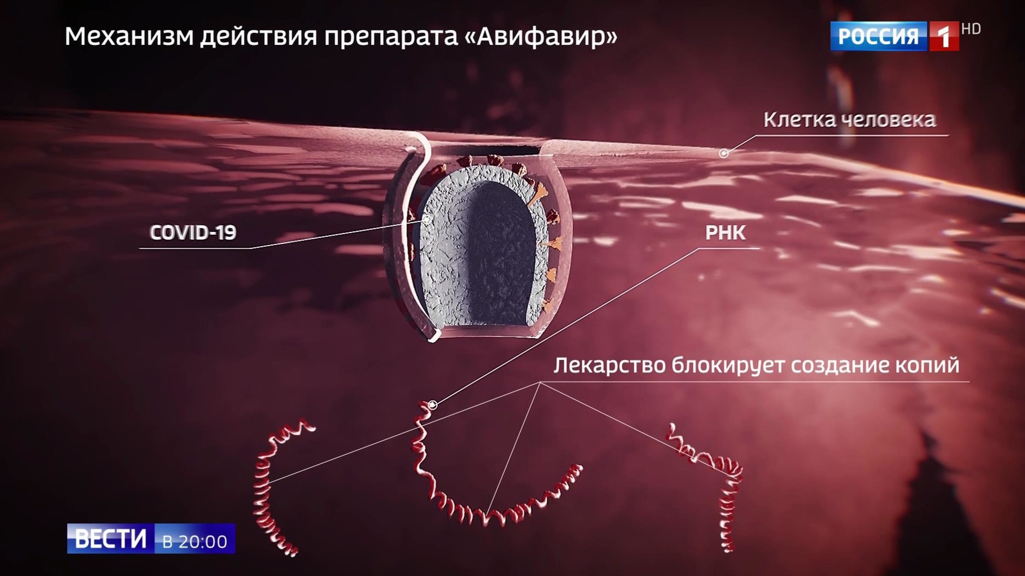 Эфир от 01.06.2020