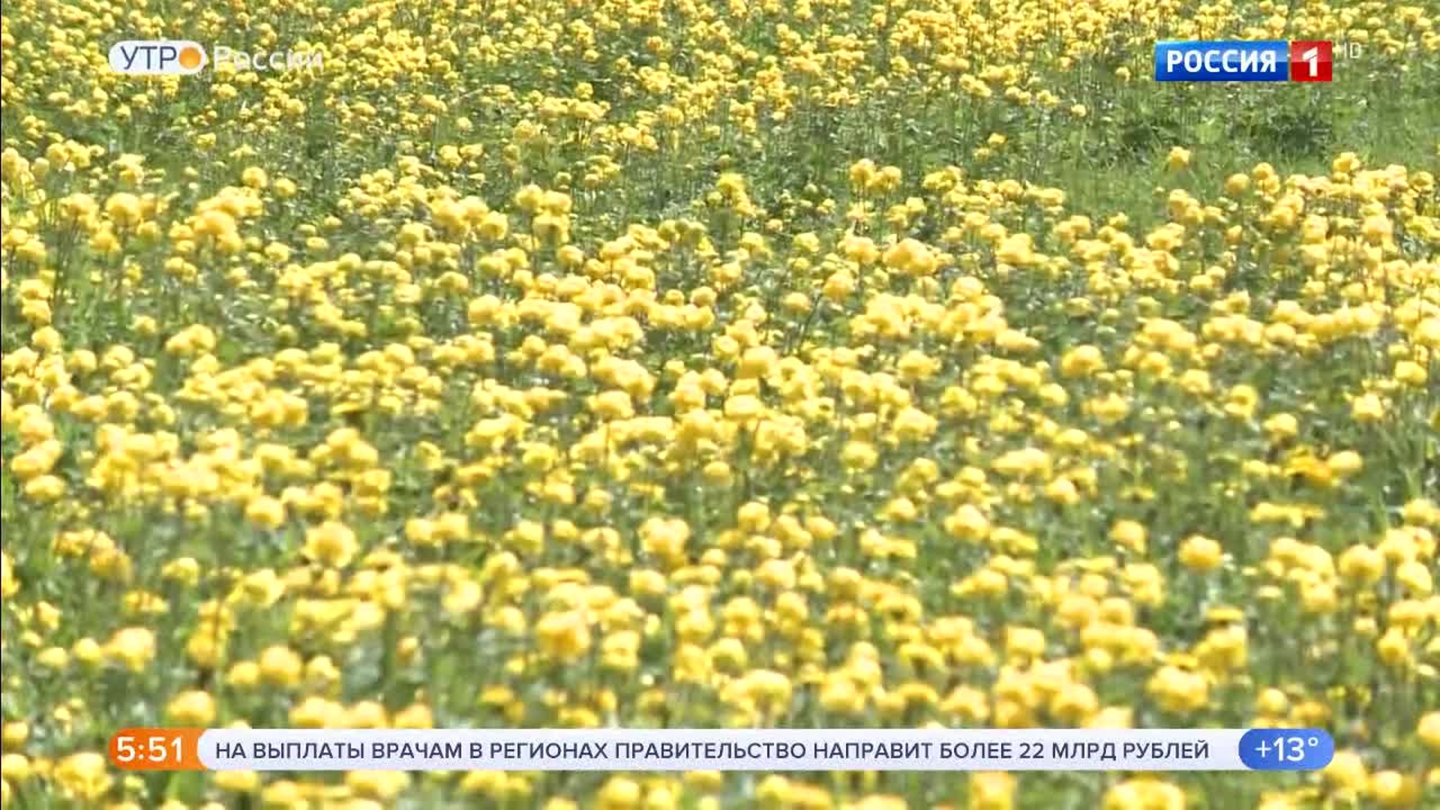 Эфир от 29.05.2020 (05:00)