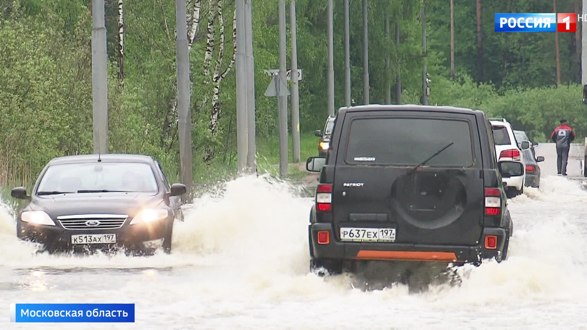 Дома затопило, деревья повалило: в столичном регионе подсчитывают убытки от непогоды