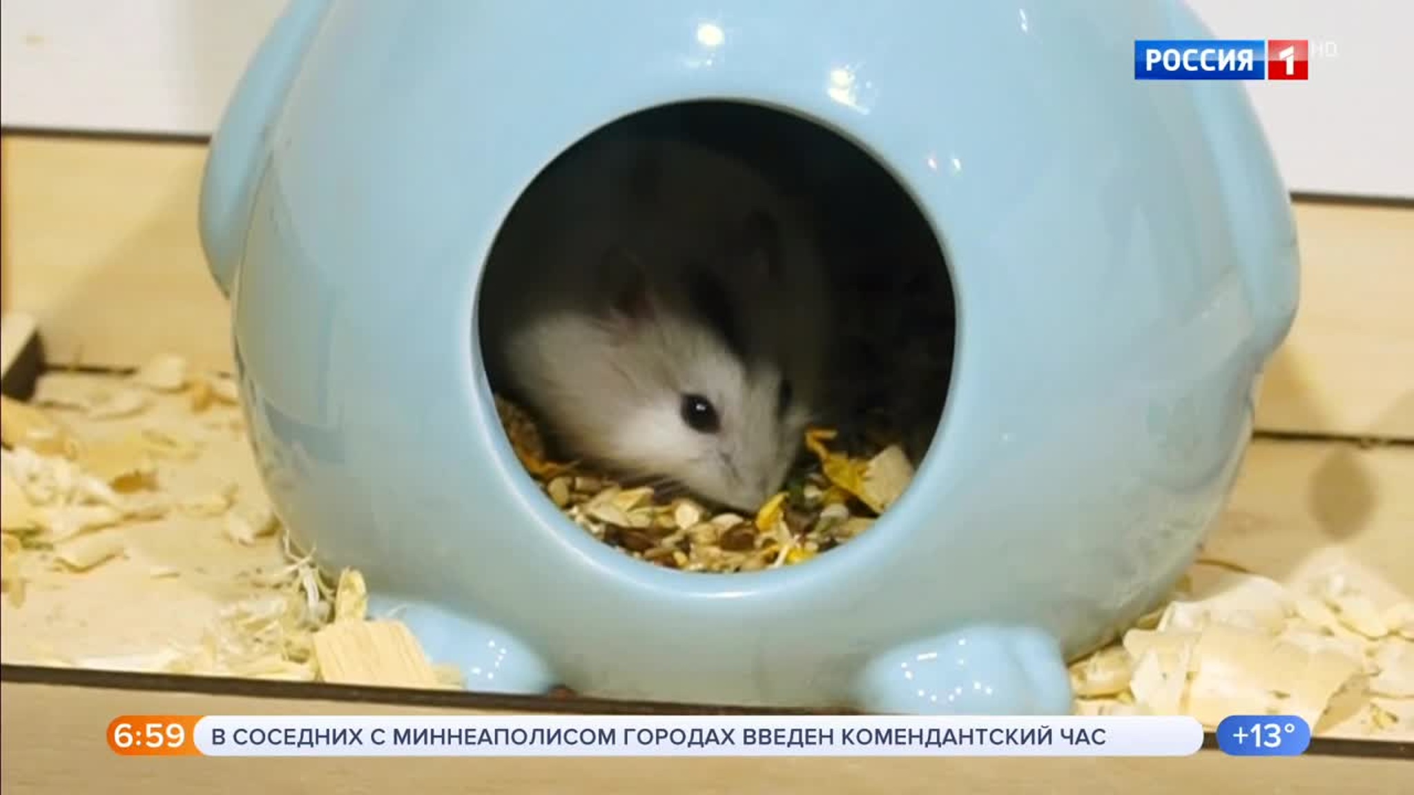 Эфир от 30.05.2020