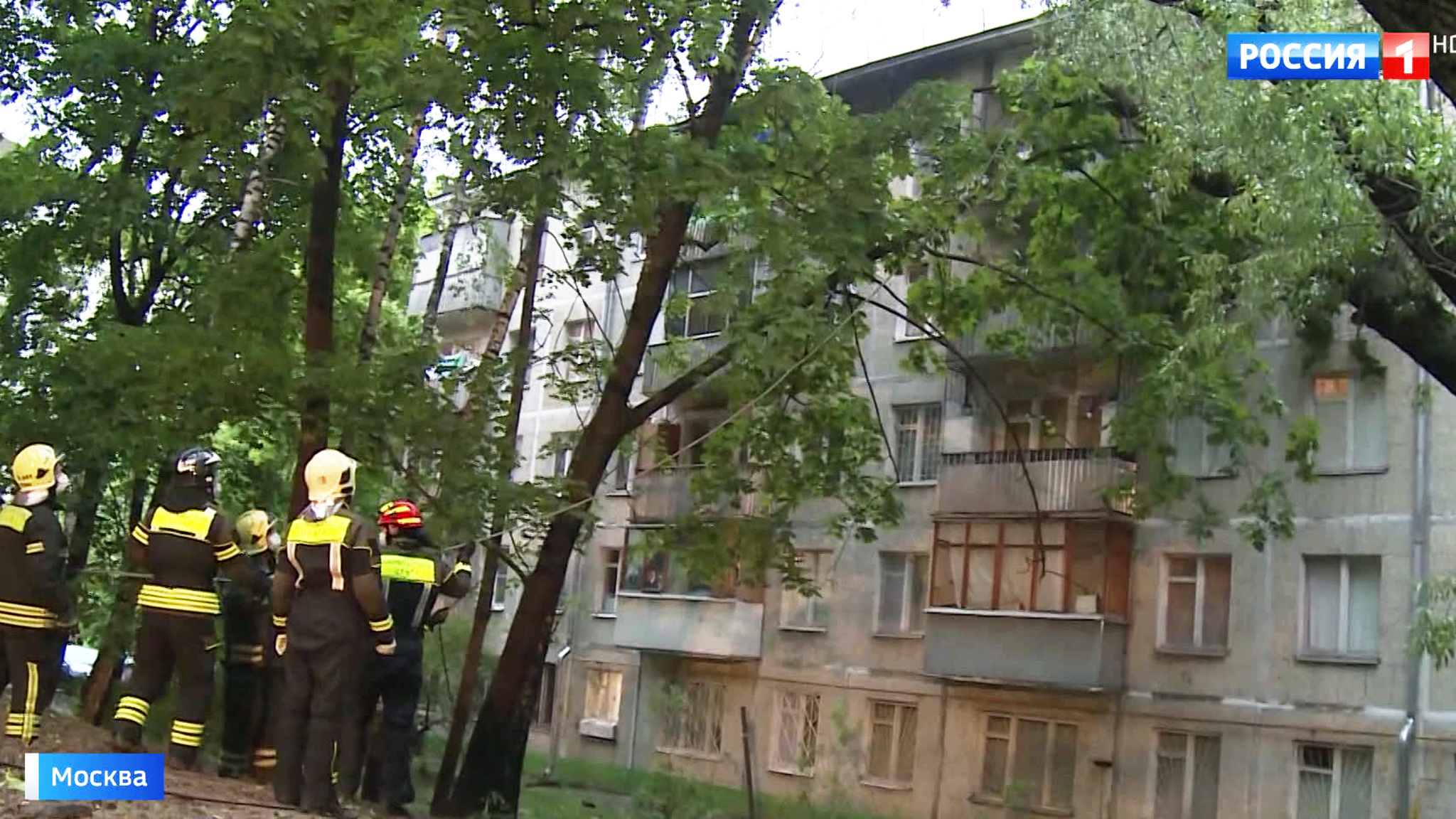 Упавшее дерево остановило Филевскую линию метро