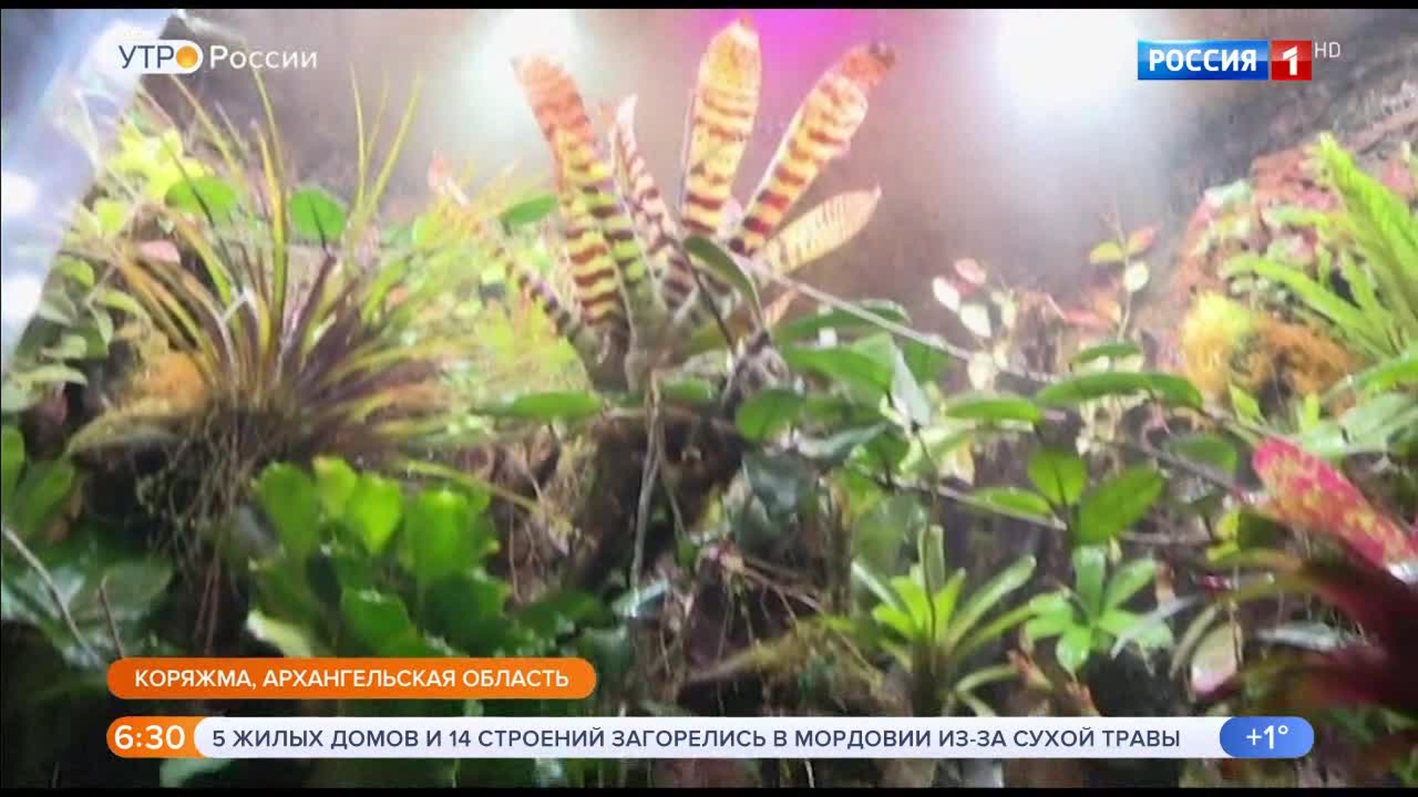 Эфир от 30.03.2020 (05:00)