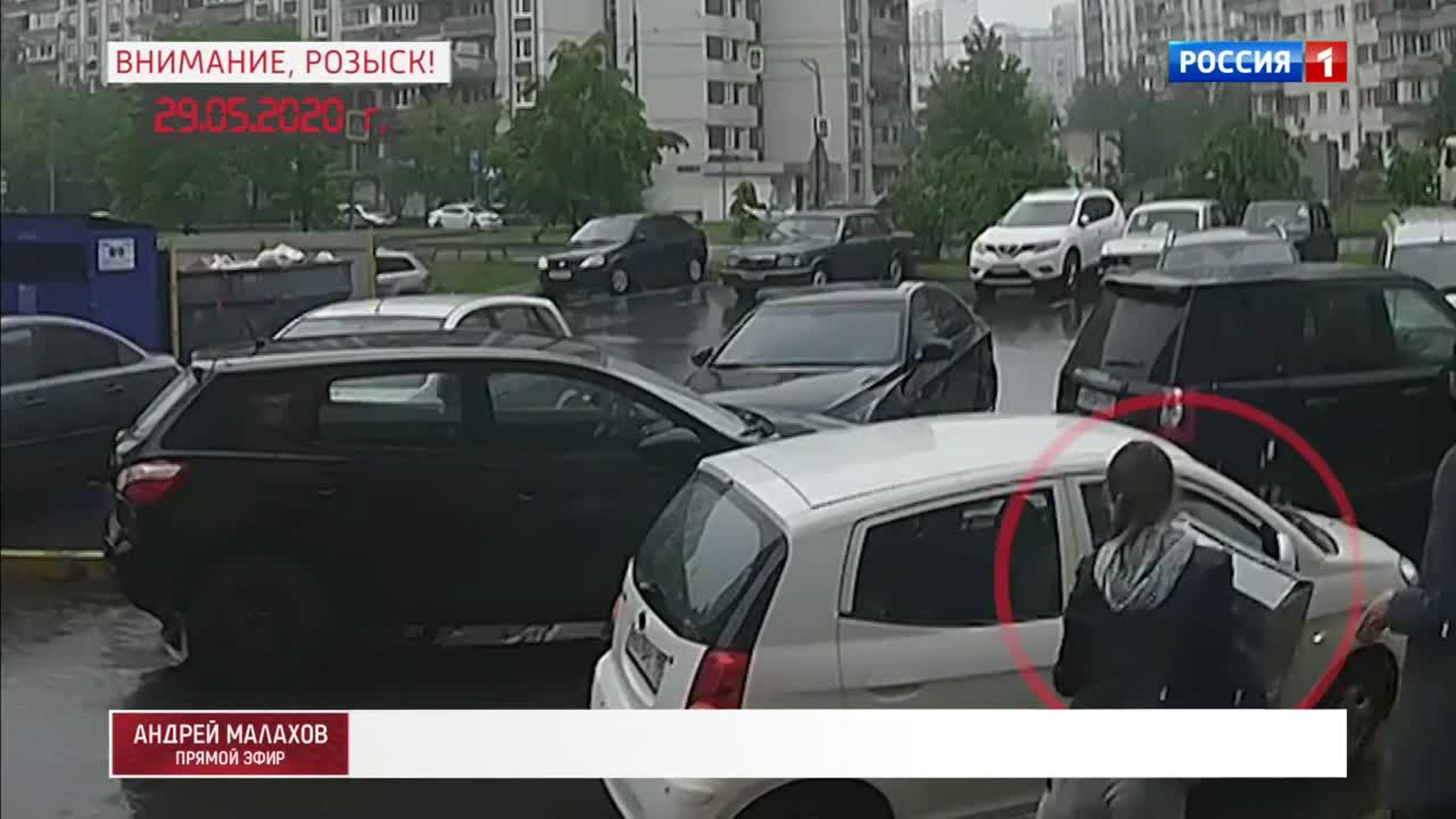 Эксклюзив: частный детектив нашел Елену Пикуль