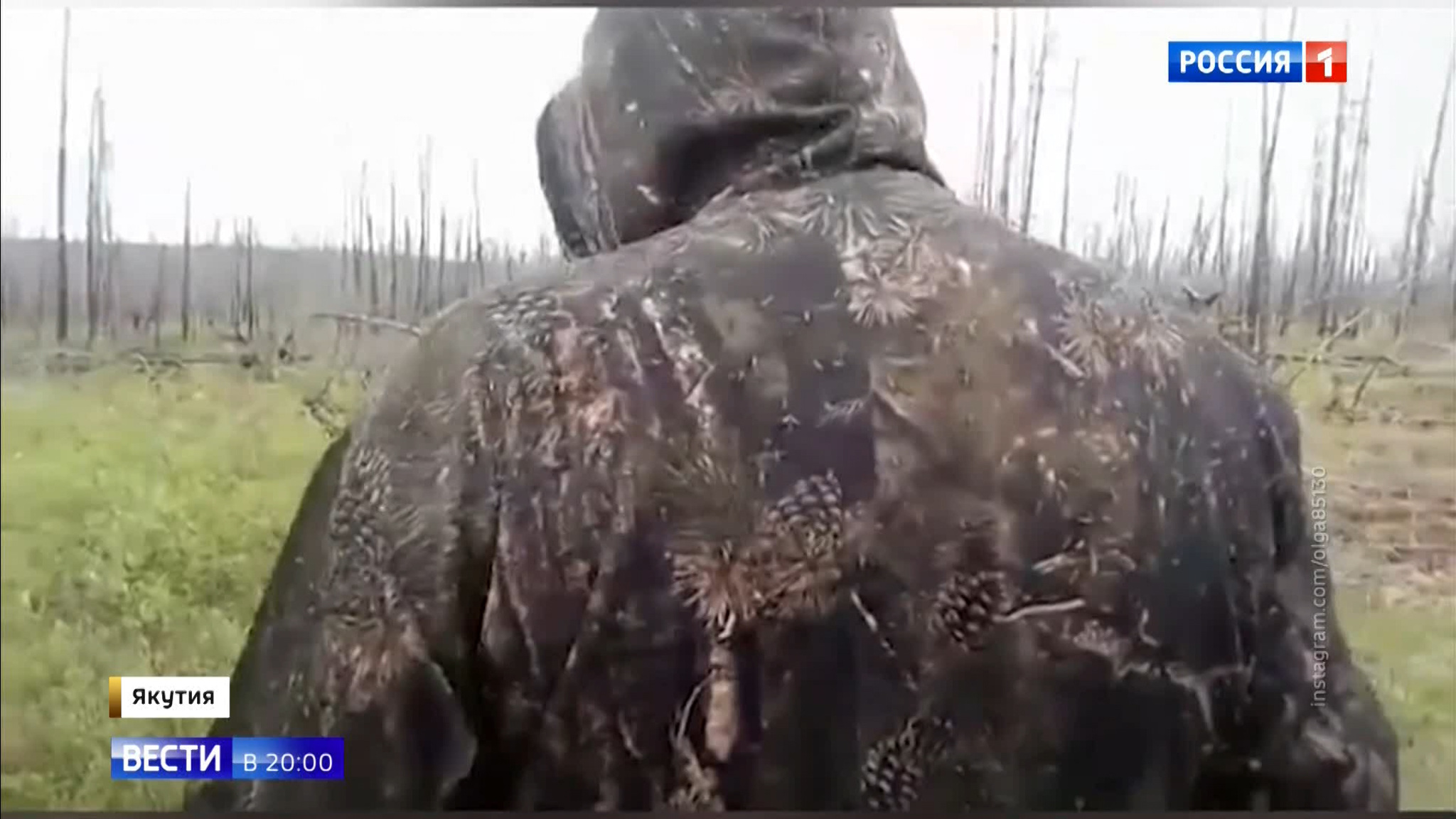 Эфир от 11.06.2020