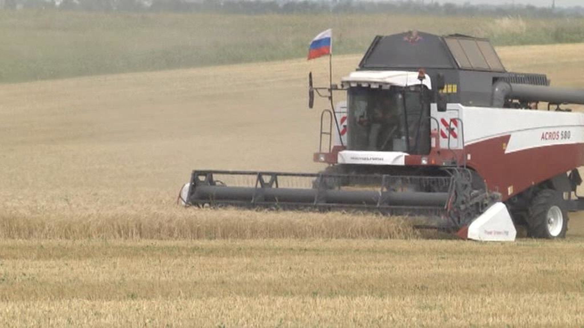 Аграрный триумф: Россия выбилась в лидеры по экспорту пшеницы