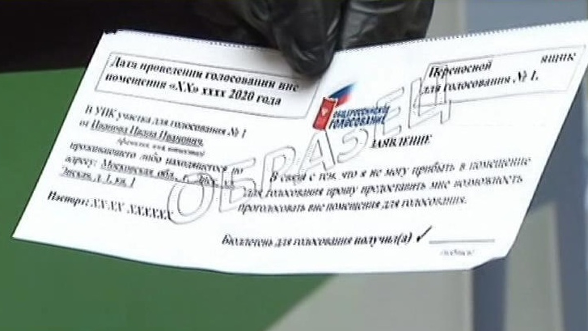 Количество наблюдателей на общероссийском голосовании превысит полмиллиона