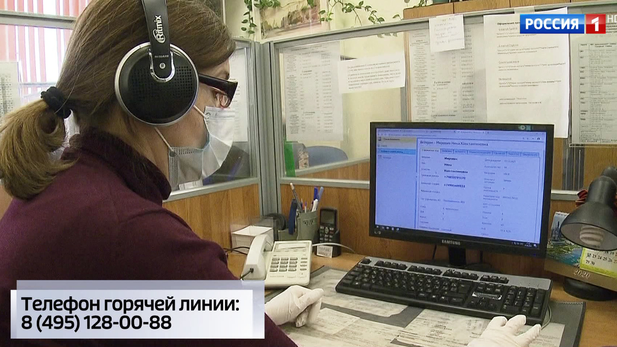 В Подмосковье заработала горячая линия по борьбе с борщевиком