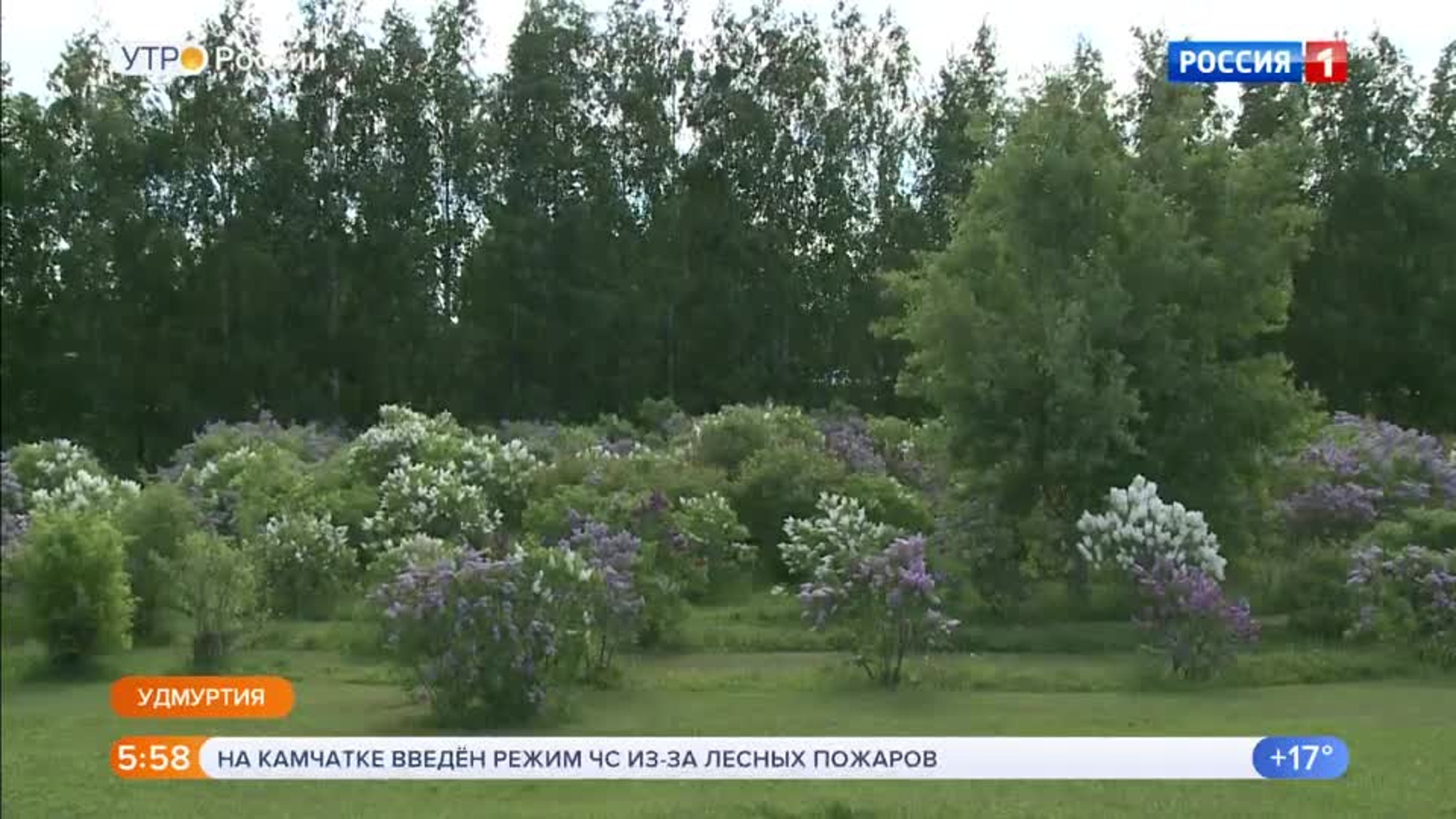 Эфир от 17.06.2020 (05:00)