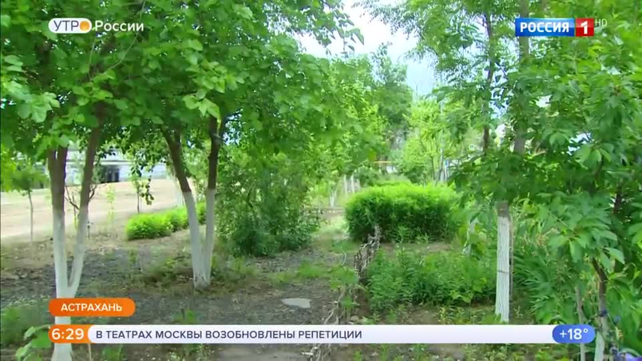 Эфир от 18.06.2020 (05:00)