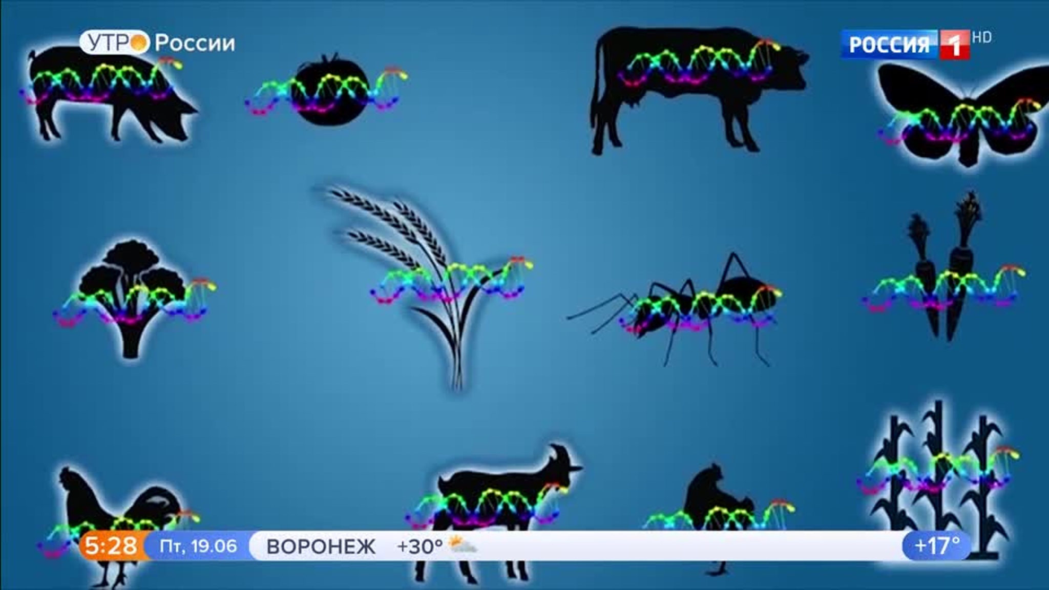 Эфир от 19.06.2020 (05:00)