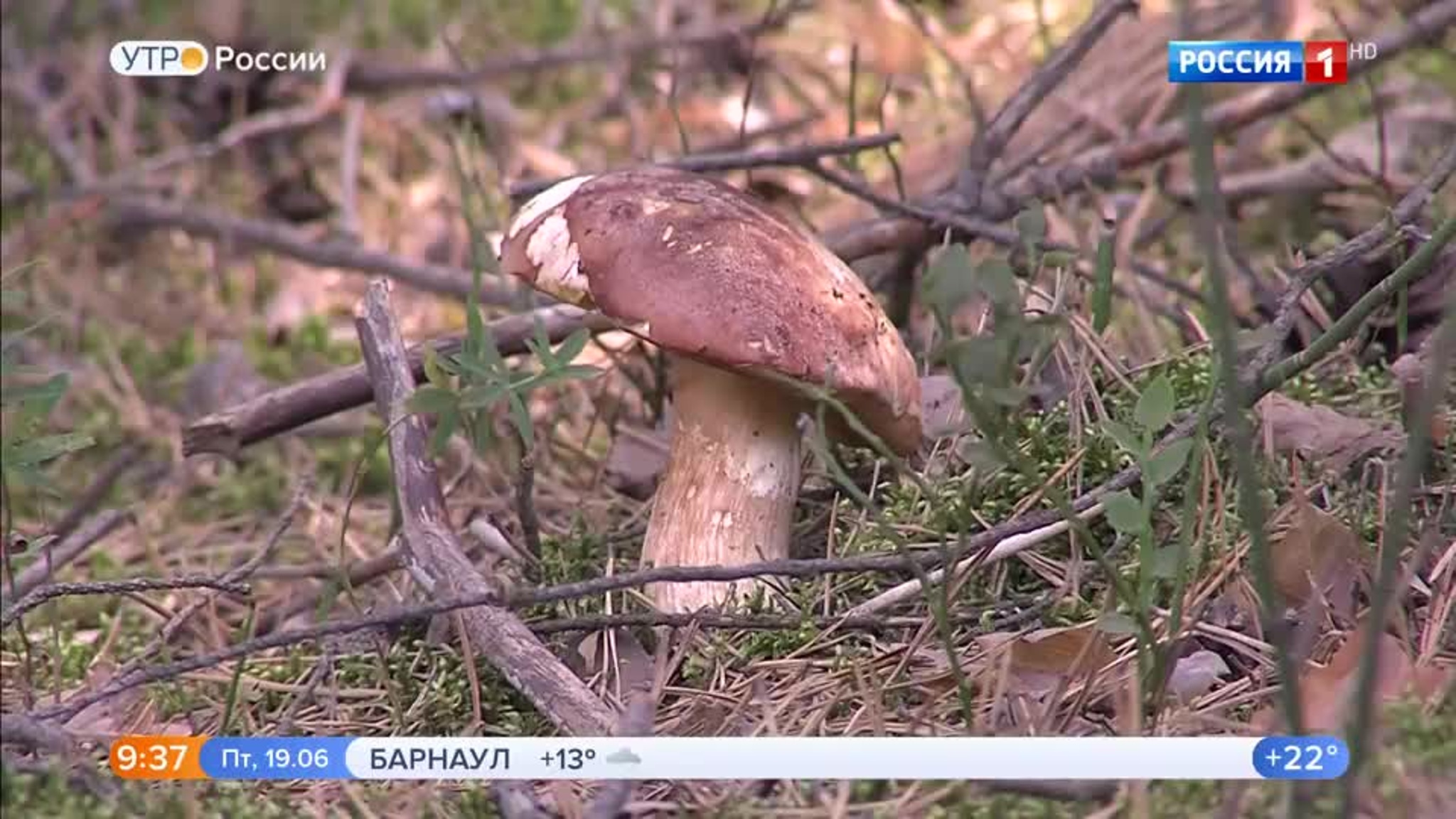 Эфир от 19.06.2020 (09:30)