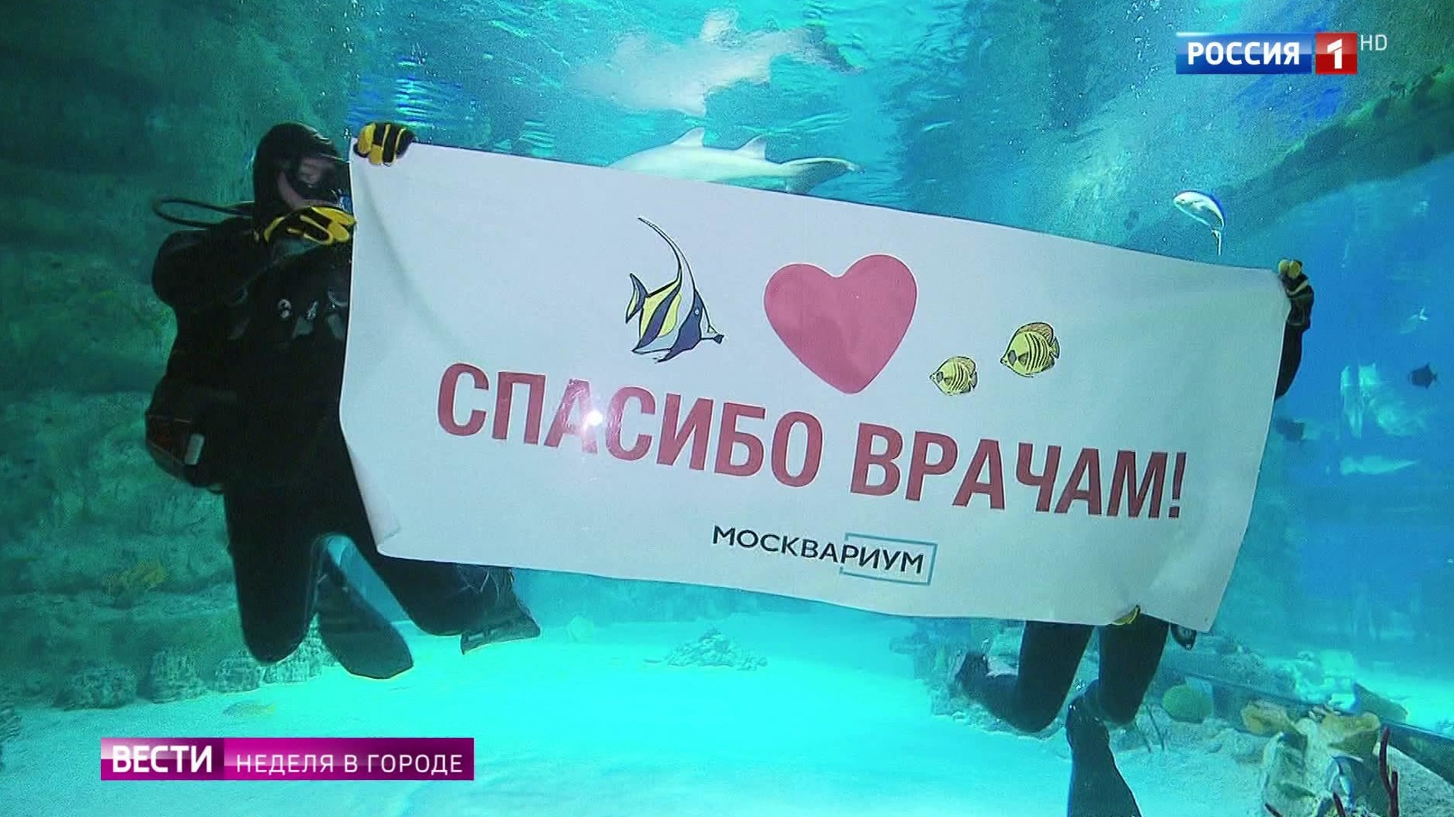 Горожане заново открывают для себя Москву
