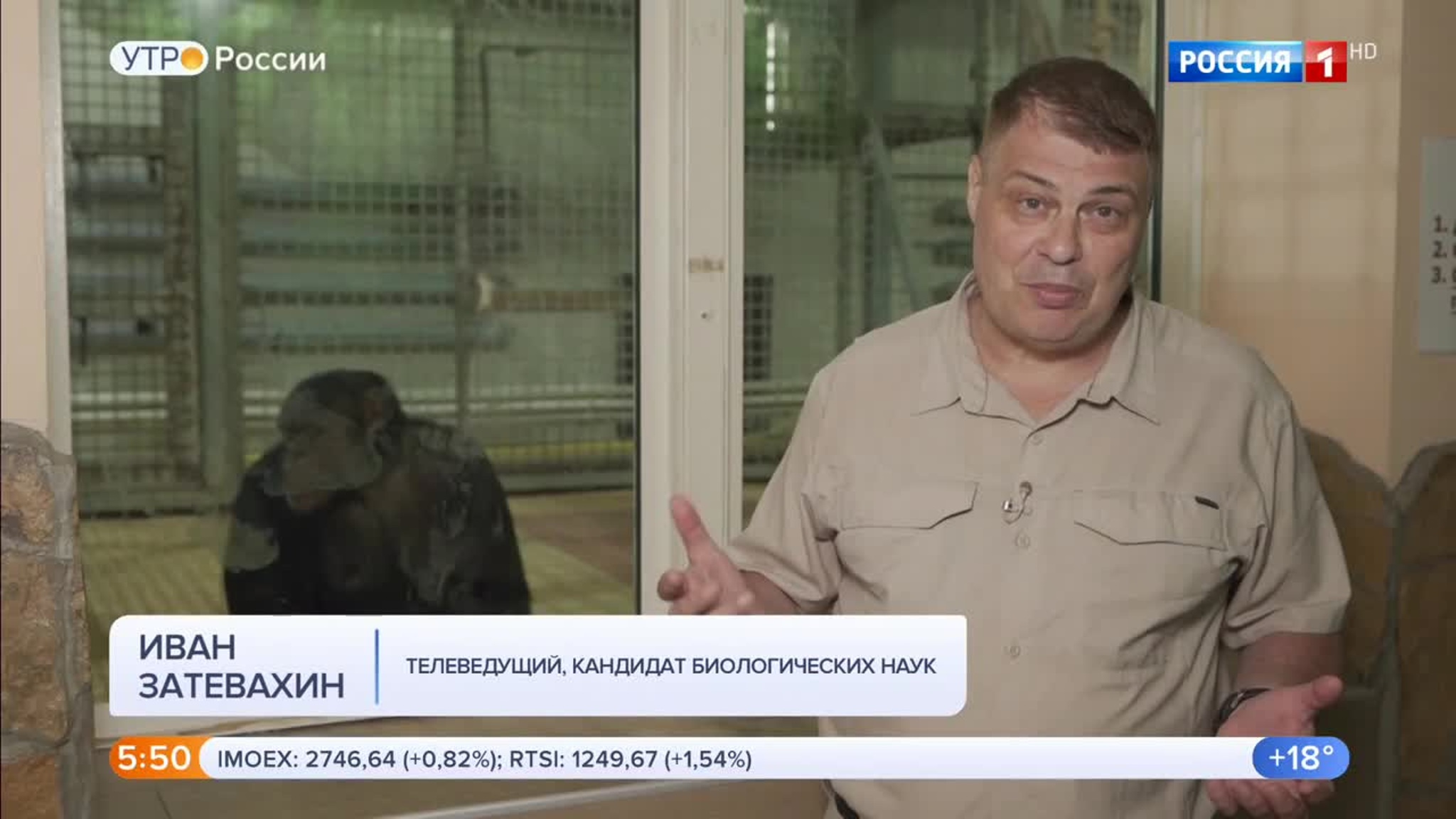 Эфир от 20.06.2020 (05:00)