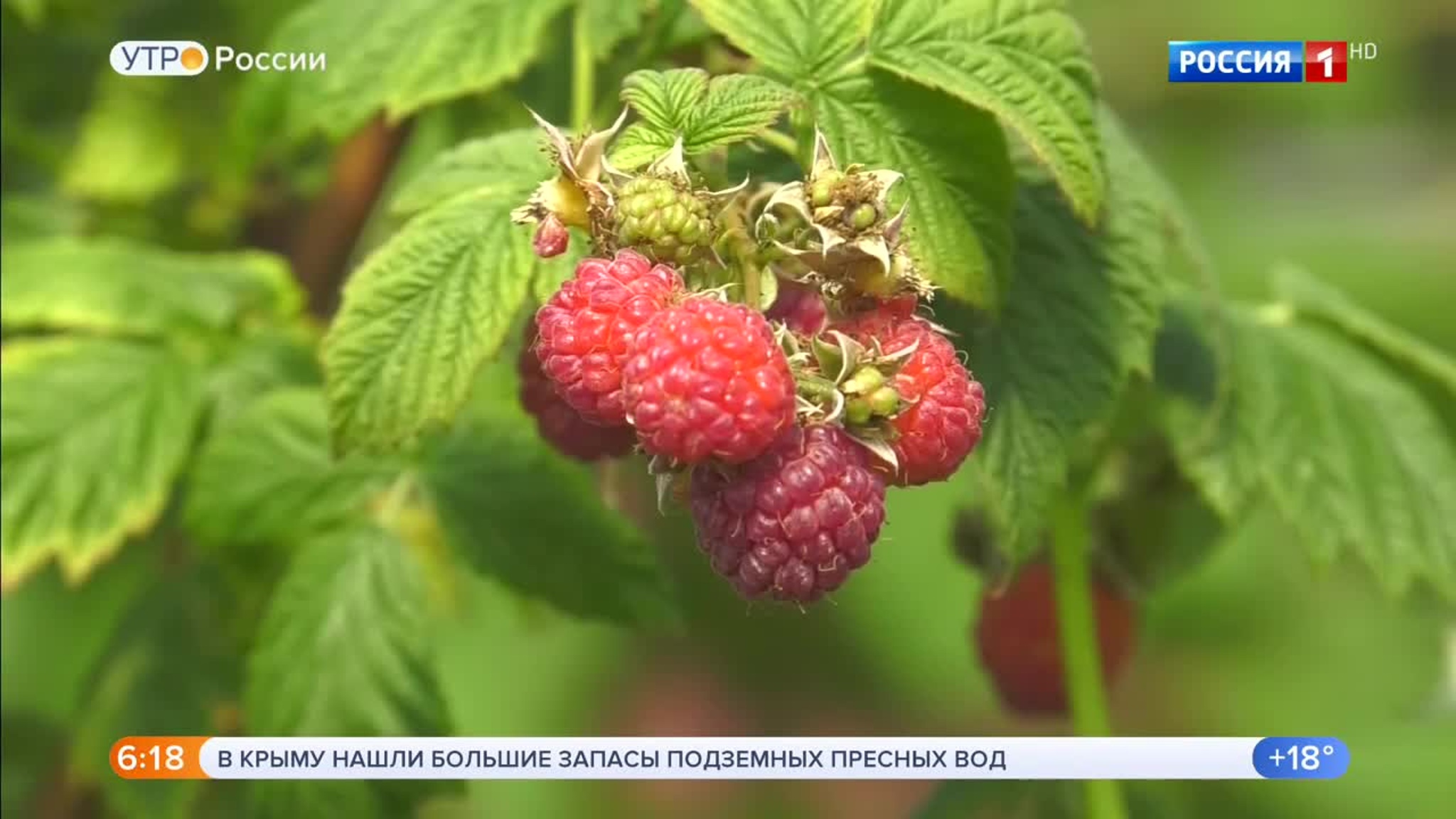 Эфир от 20.06.2020 (05:00)