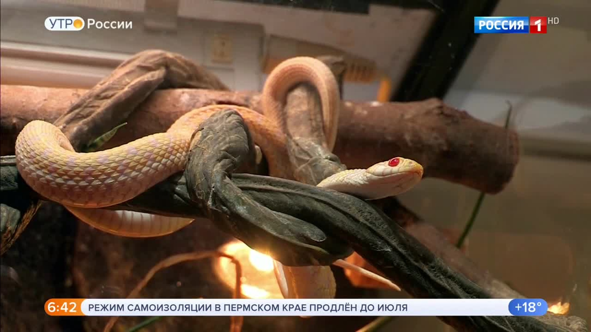 Эфир от 20.06.2020 (05:00)