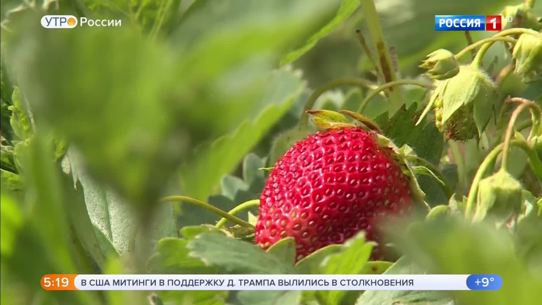 Эфир от 22.06.2020 (05:00)
