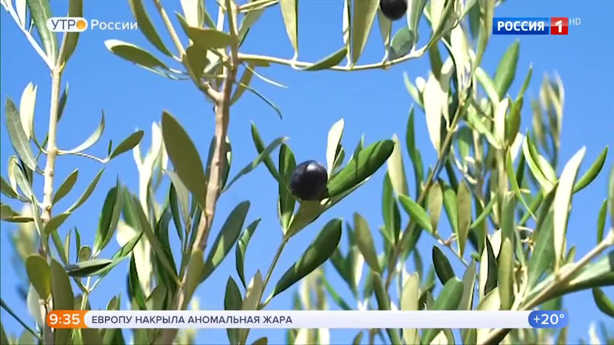 Эфир от 26.06.2020 (09:30)