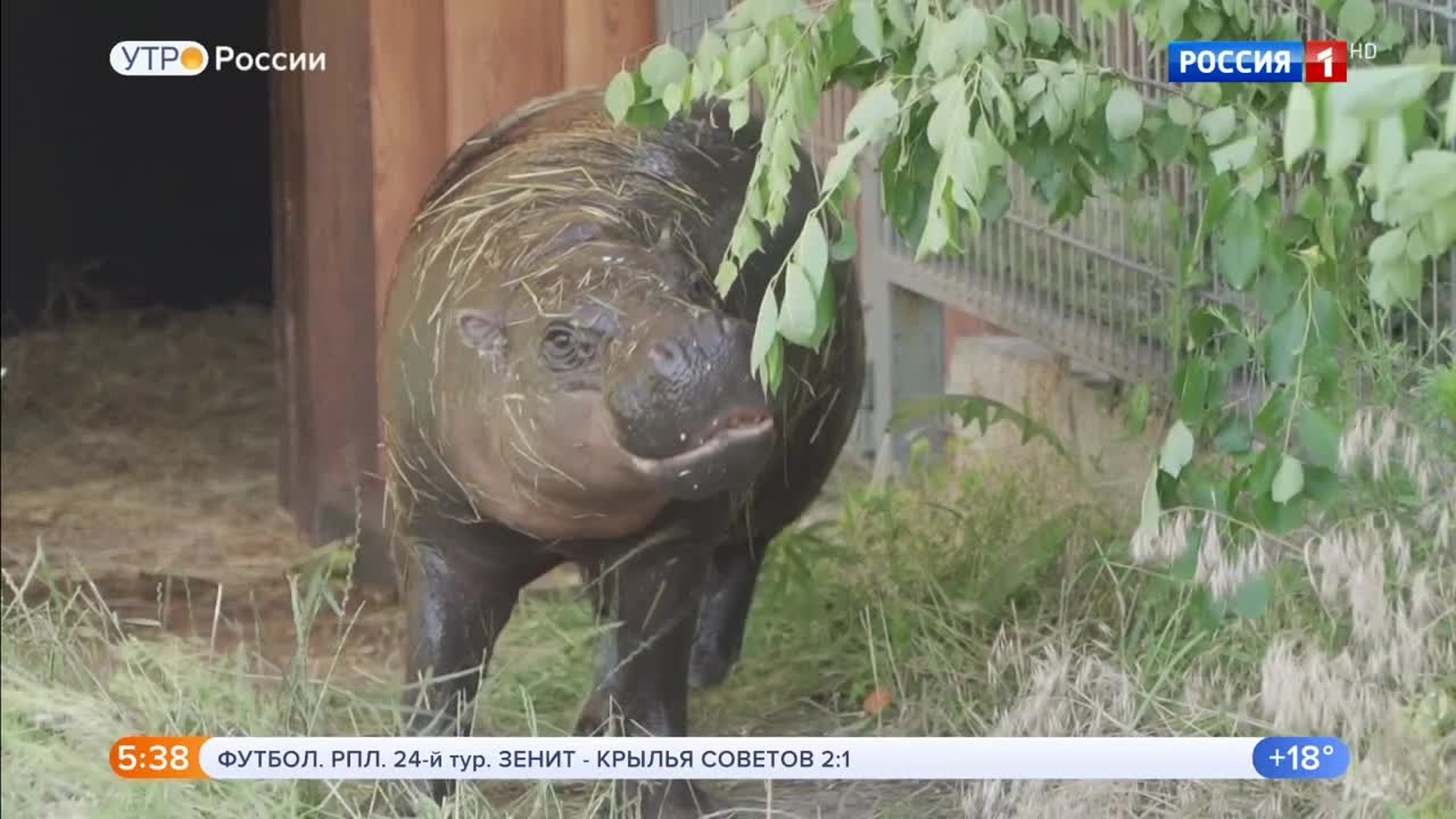 Эфир от 27.06.2020