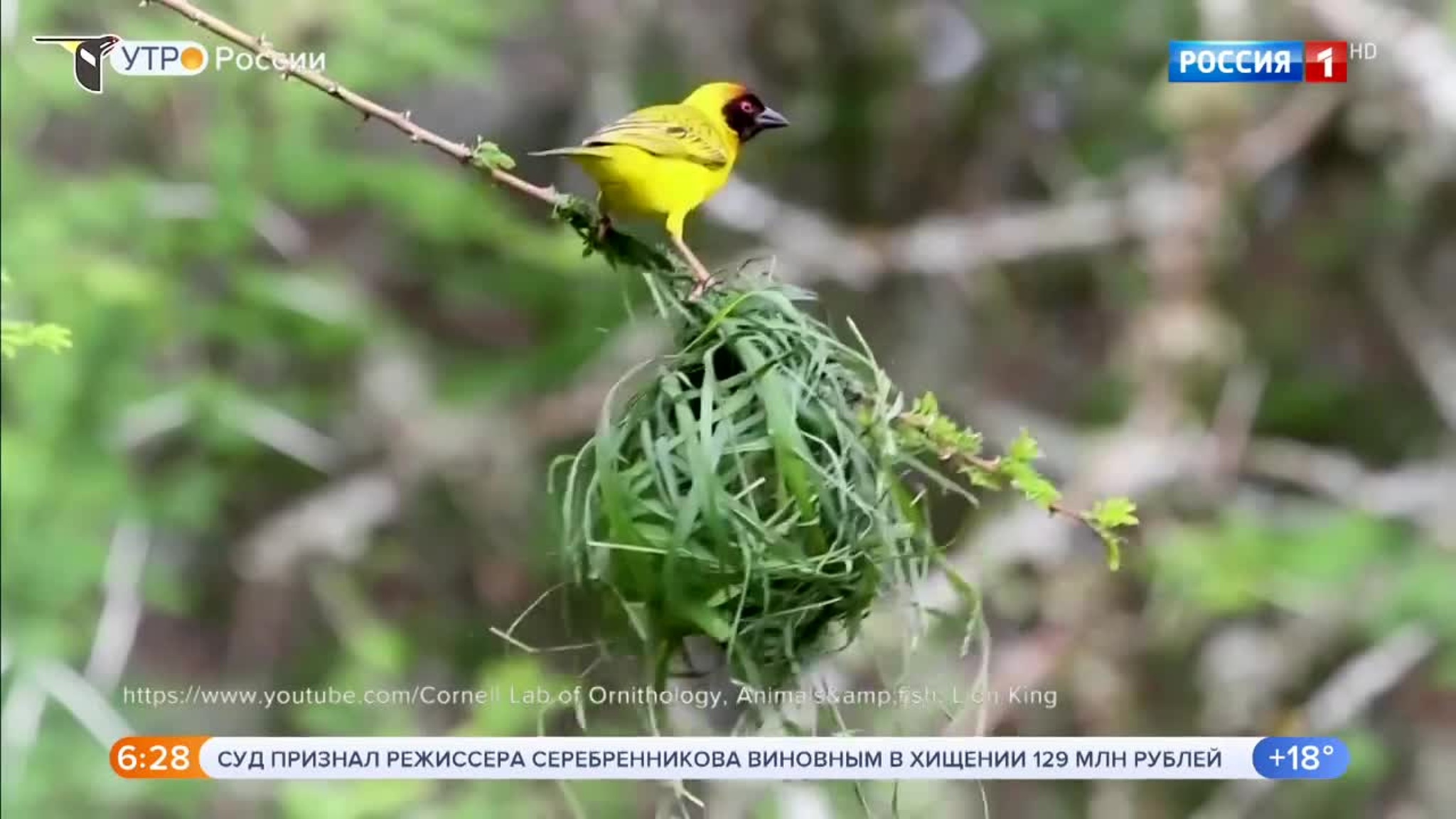 Эфир от 27.06.2020
