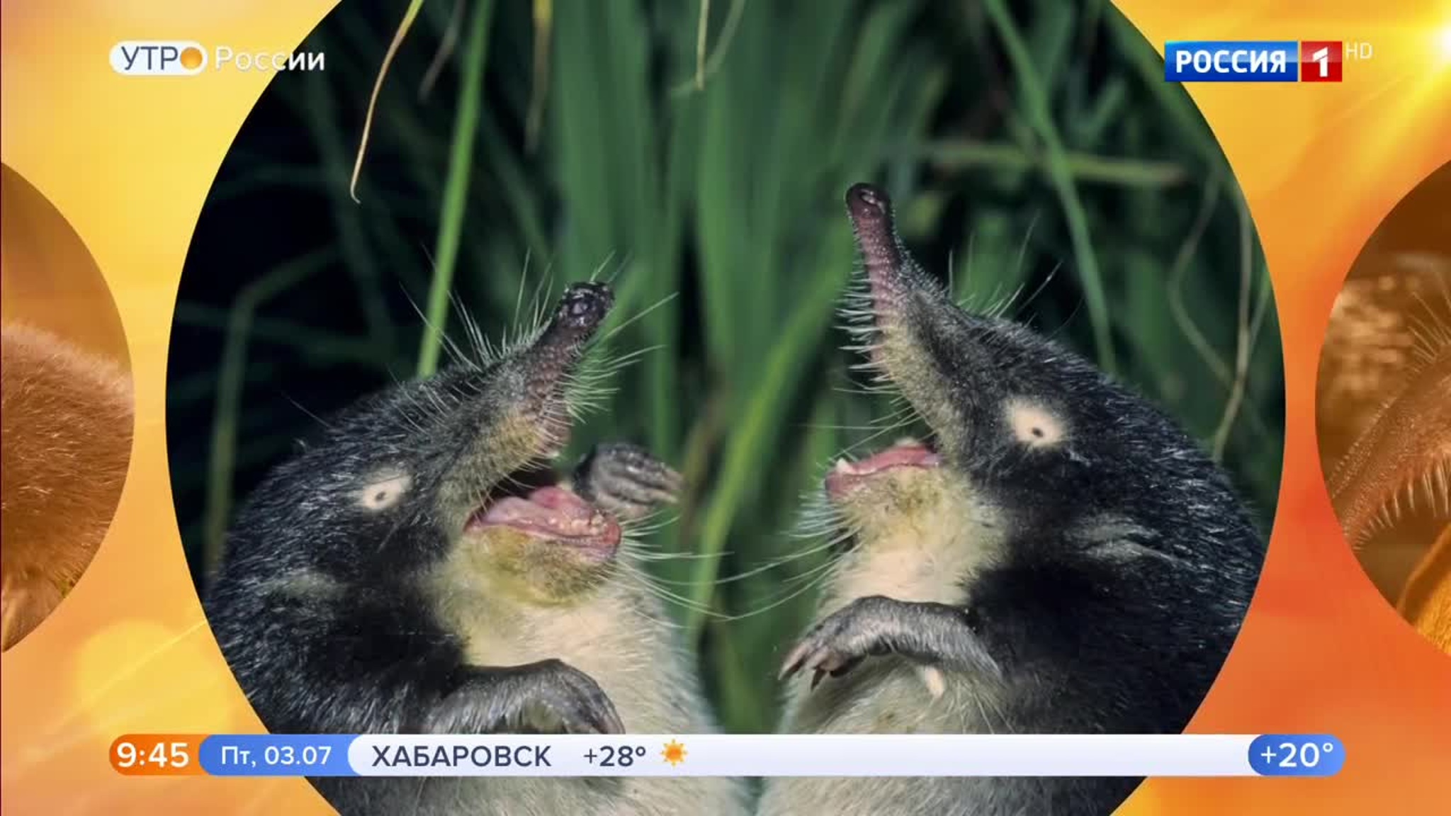 Эфир от 03.07.2020 (09:30)