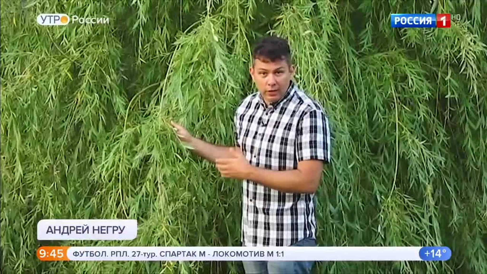 Эфир от 09.07.2020 (09:30)