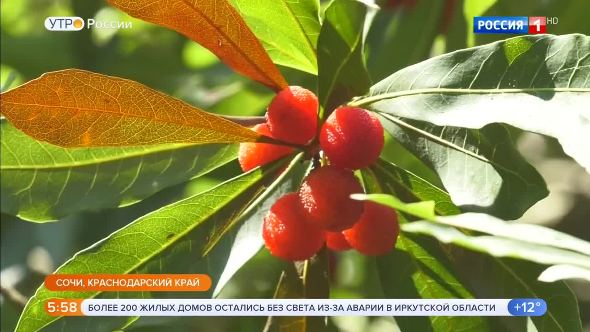 Эфир от 09.07.2020 (05:00)