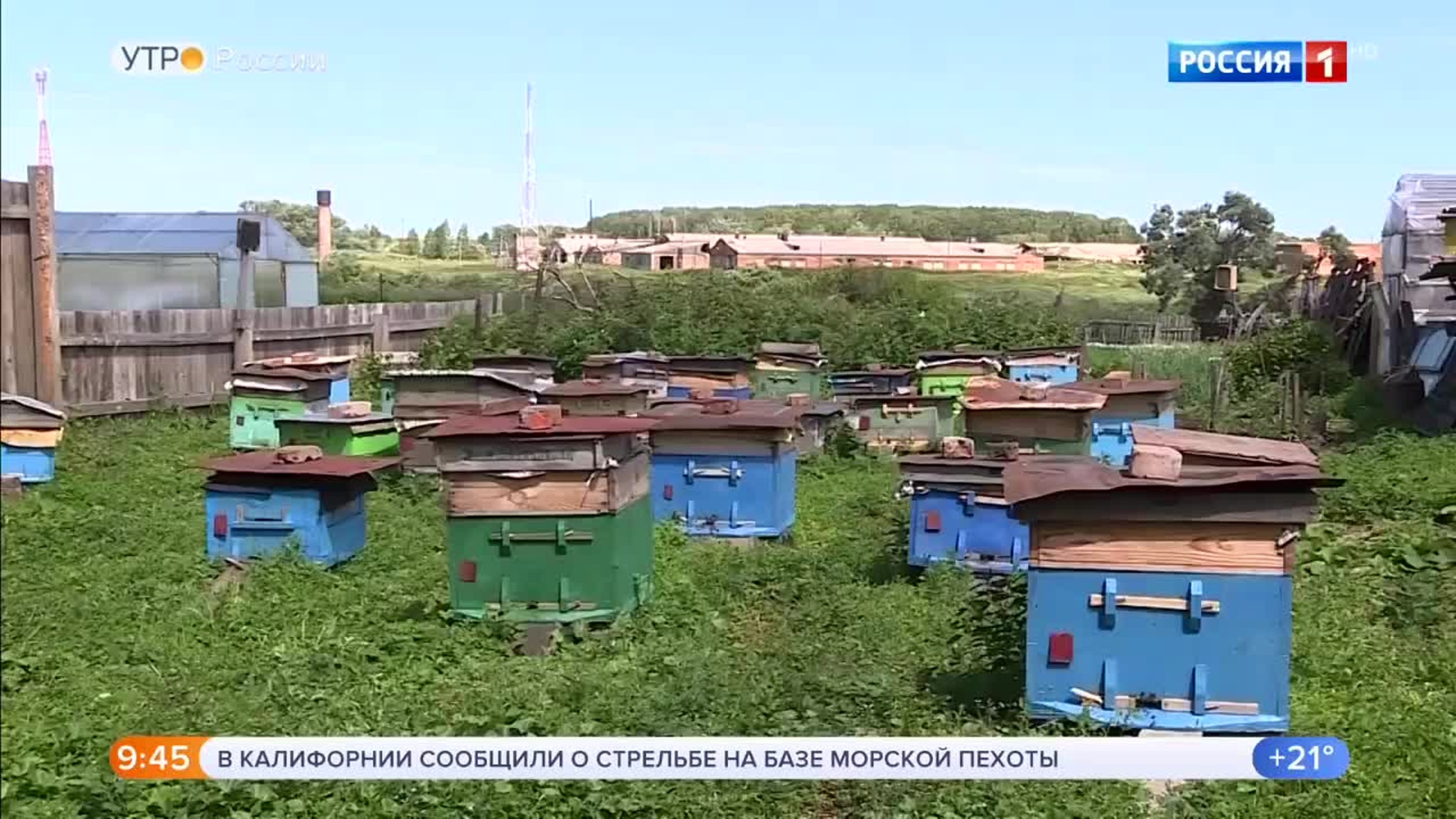 Эфир от 08.07.2020 (09:30)