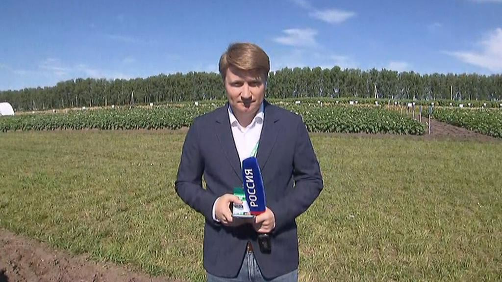 Один из крупнейших смотров достижений АПК: в Брянской области откроют выставку ко Дню поля