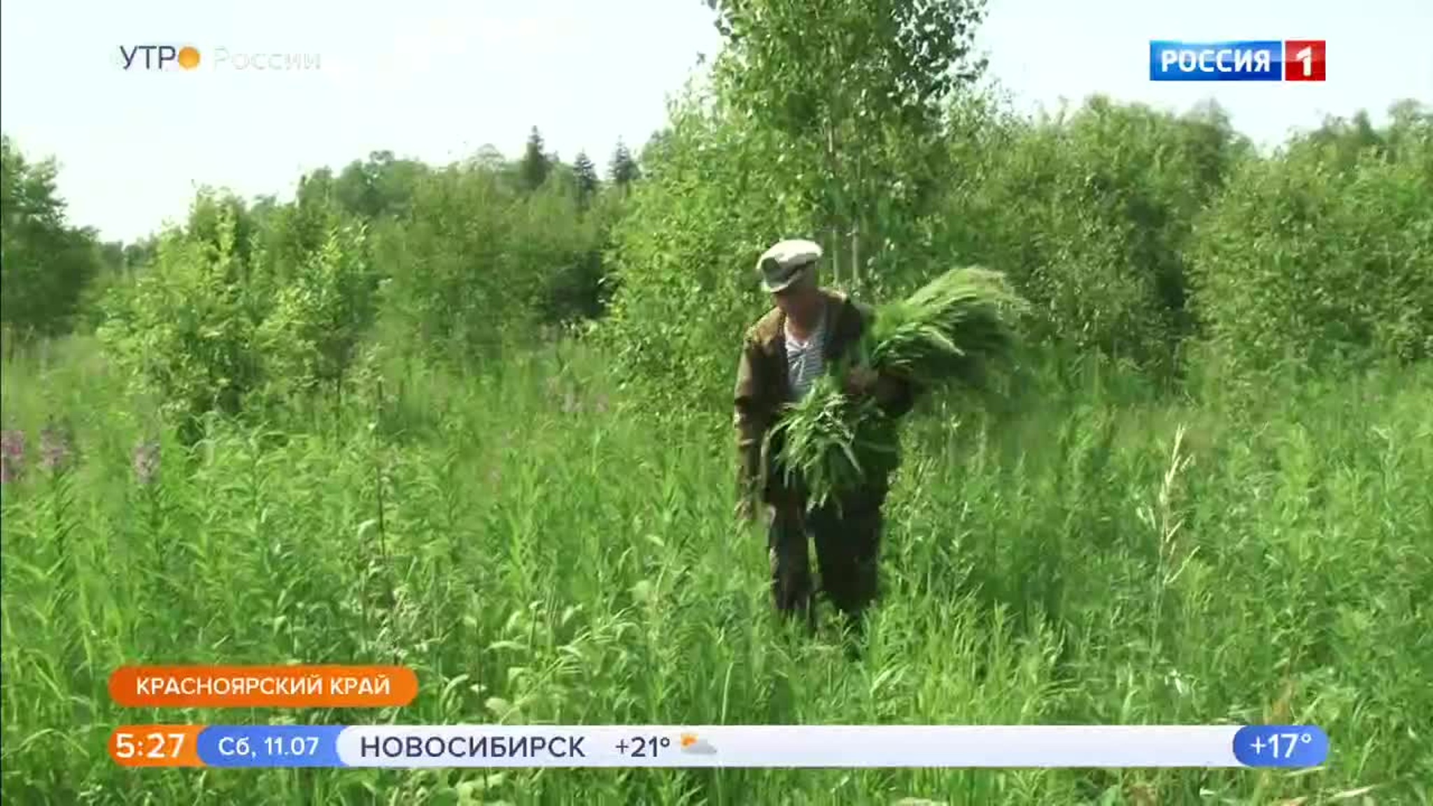 Эфир от 11.07.2020