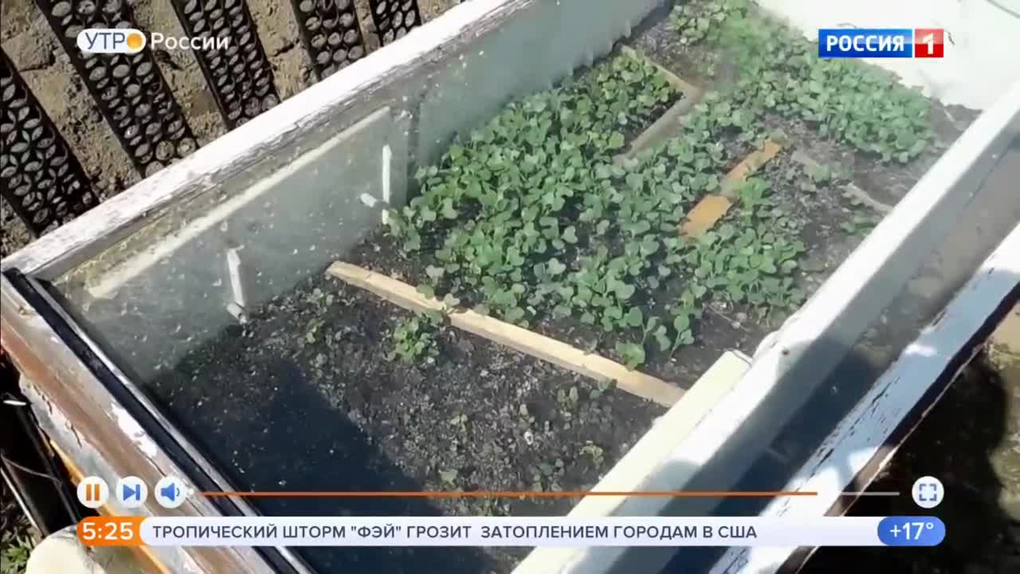 Эфир от 11.07.2020