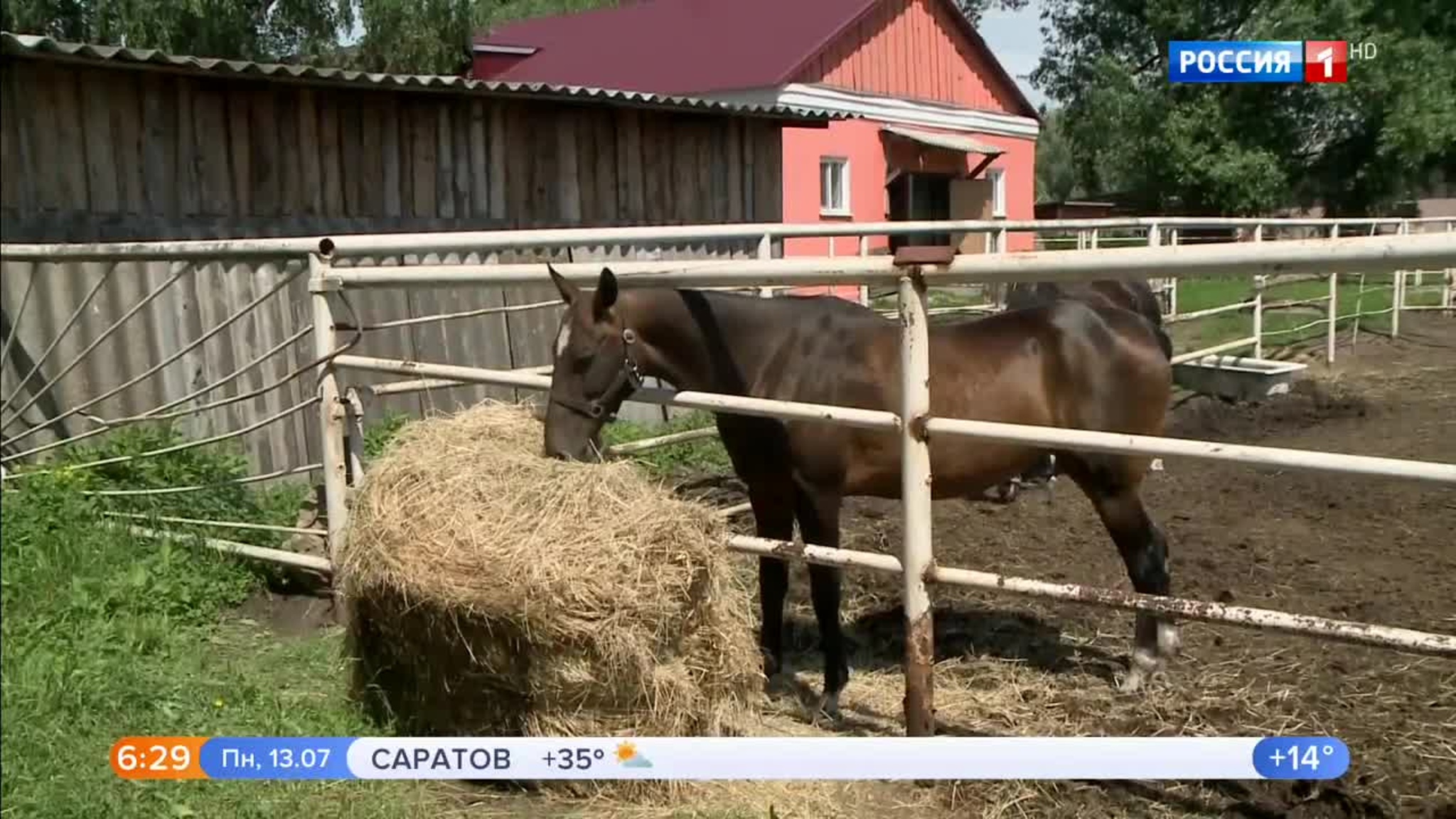 Эфир от 13.07.2020 (05:00)