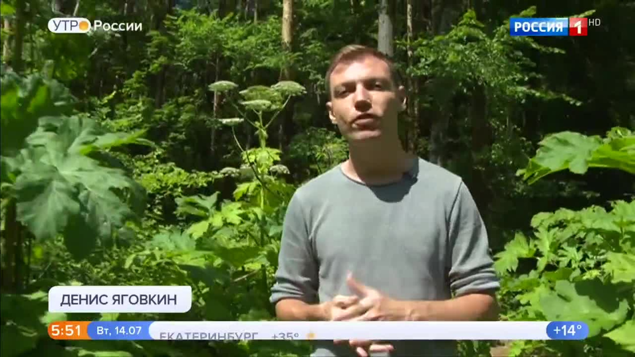 Эфир от 14.07.2020 (05:00)