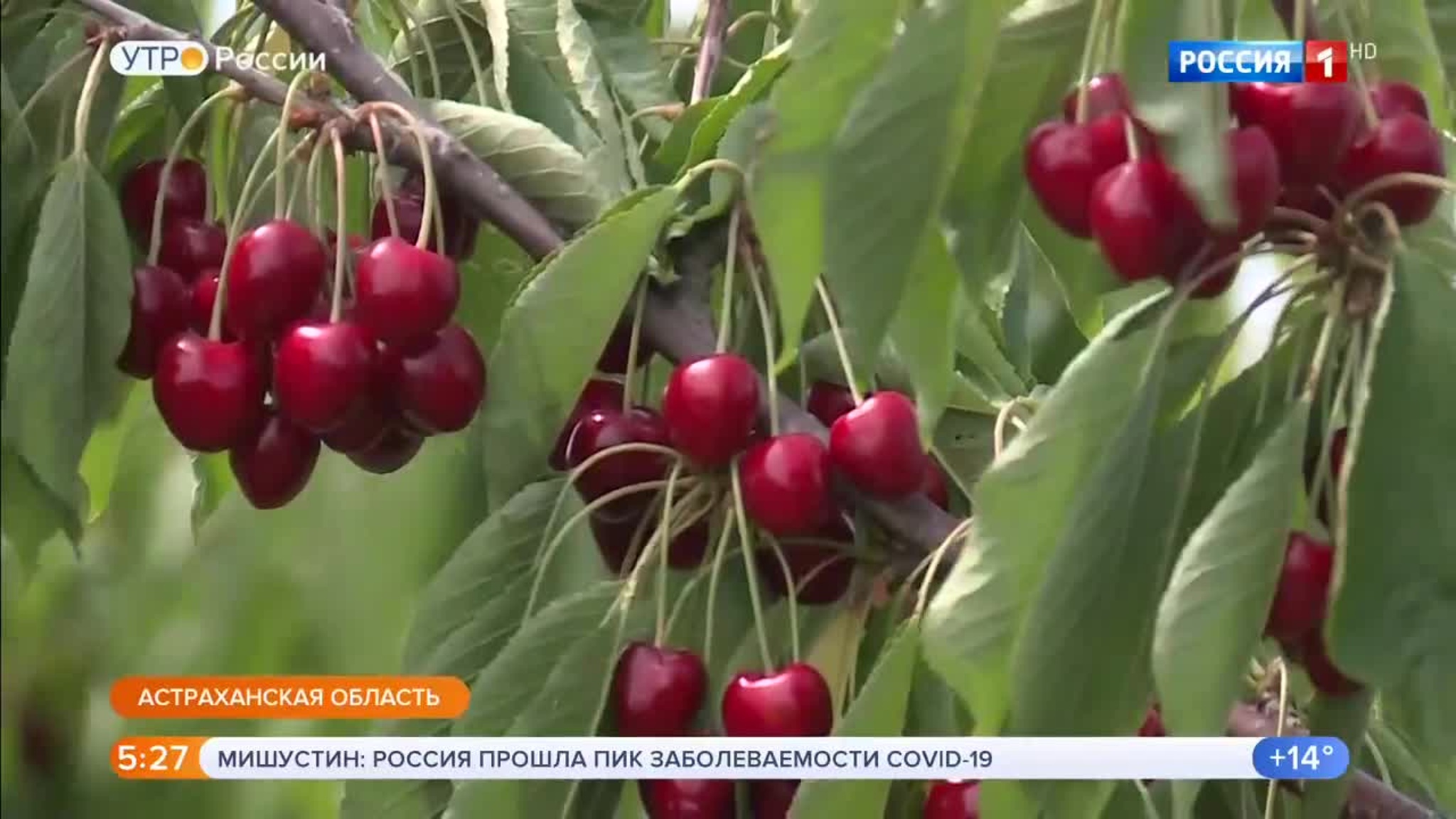 Эфир от 16.07.2020 (05:00)