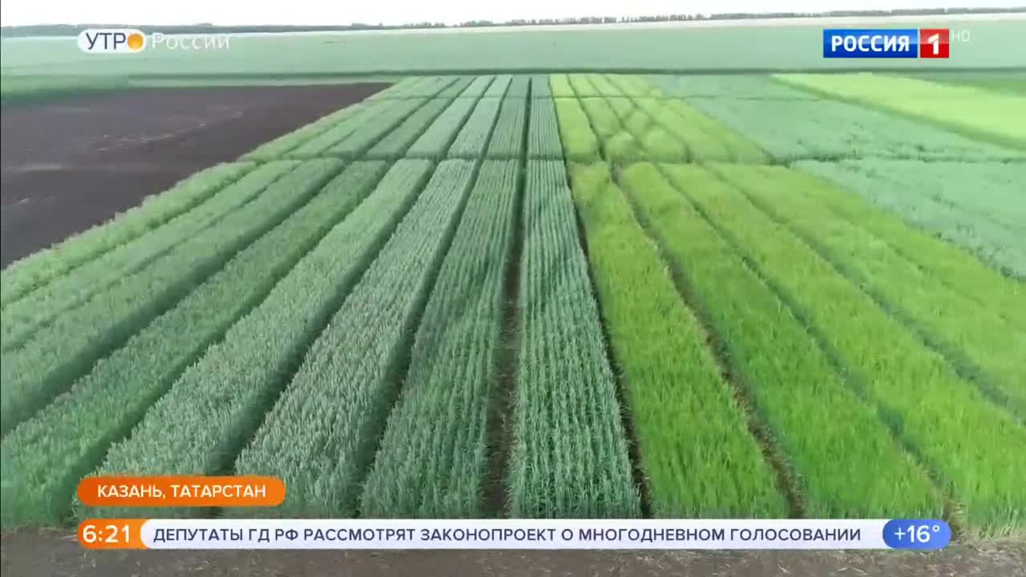 Эфир от 21.07.2020 (05:00)
