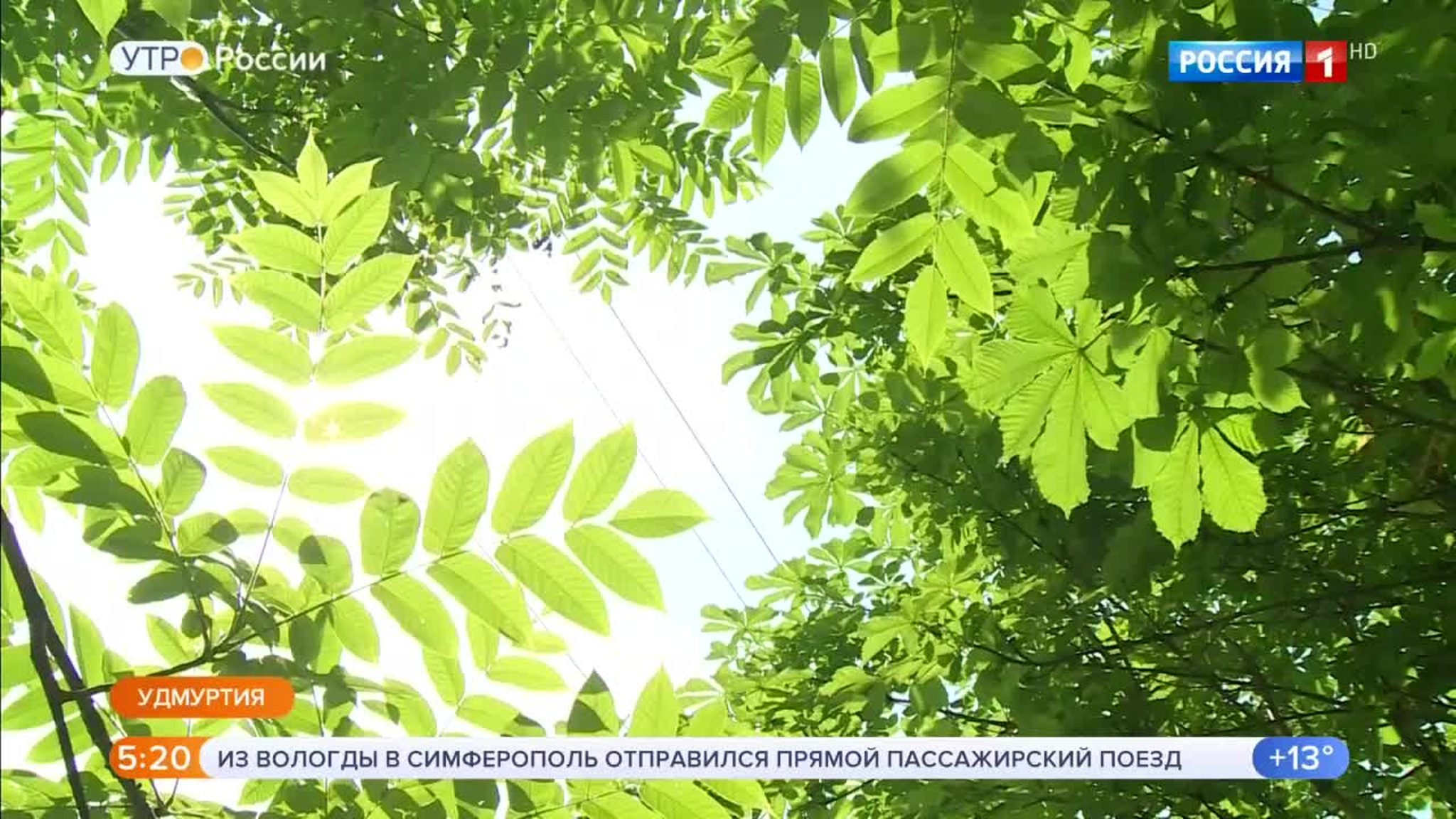 Эфир от 23.07.2020 (05:00)
